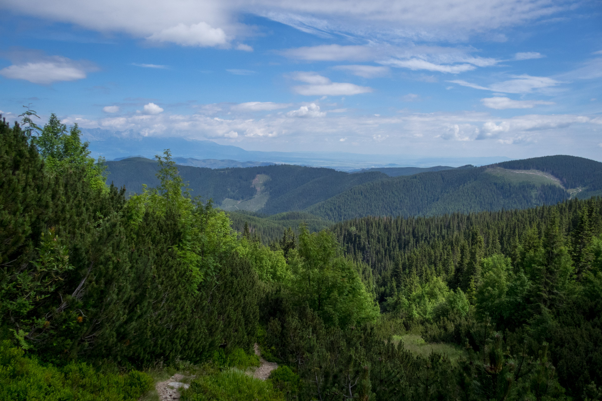 Kráľova hoľa a Ždiarske sedlo z Liptovskej Tepličky - Výpad (Nízke Tatry)