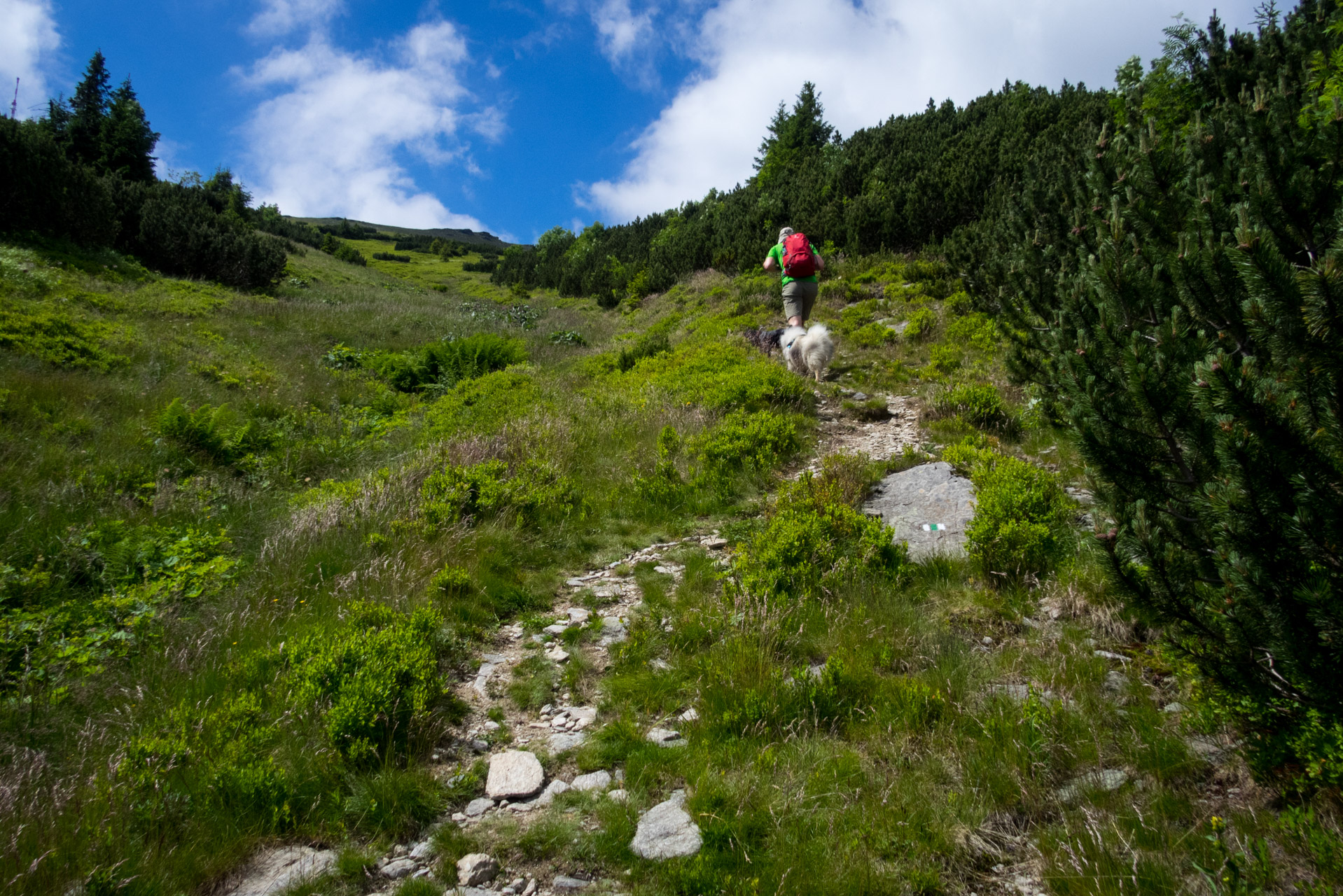 Kráľova hoľa a Ždiarske sedlo z Liptovskej Tepličky - Výpad (Nízke Tatry)