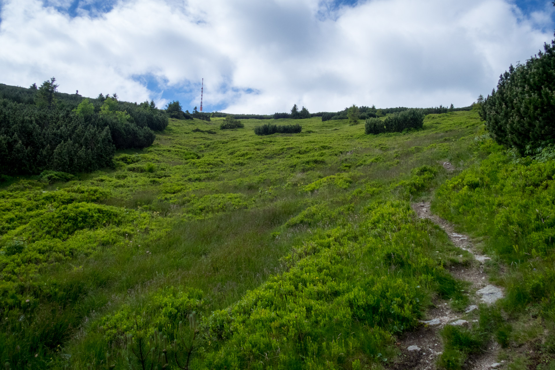 Kráľova hoľa a Ždiarske sedlo z Liptovskej Tepličky - Výpad (Nízke Tatry)