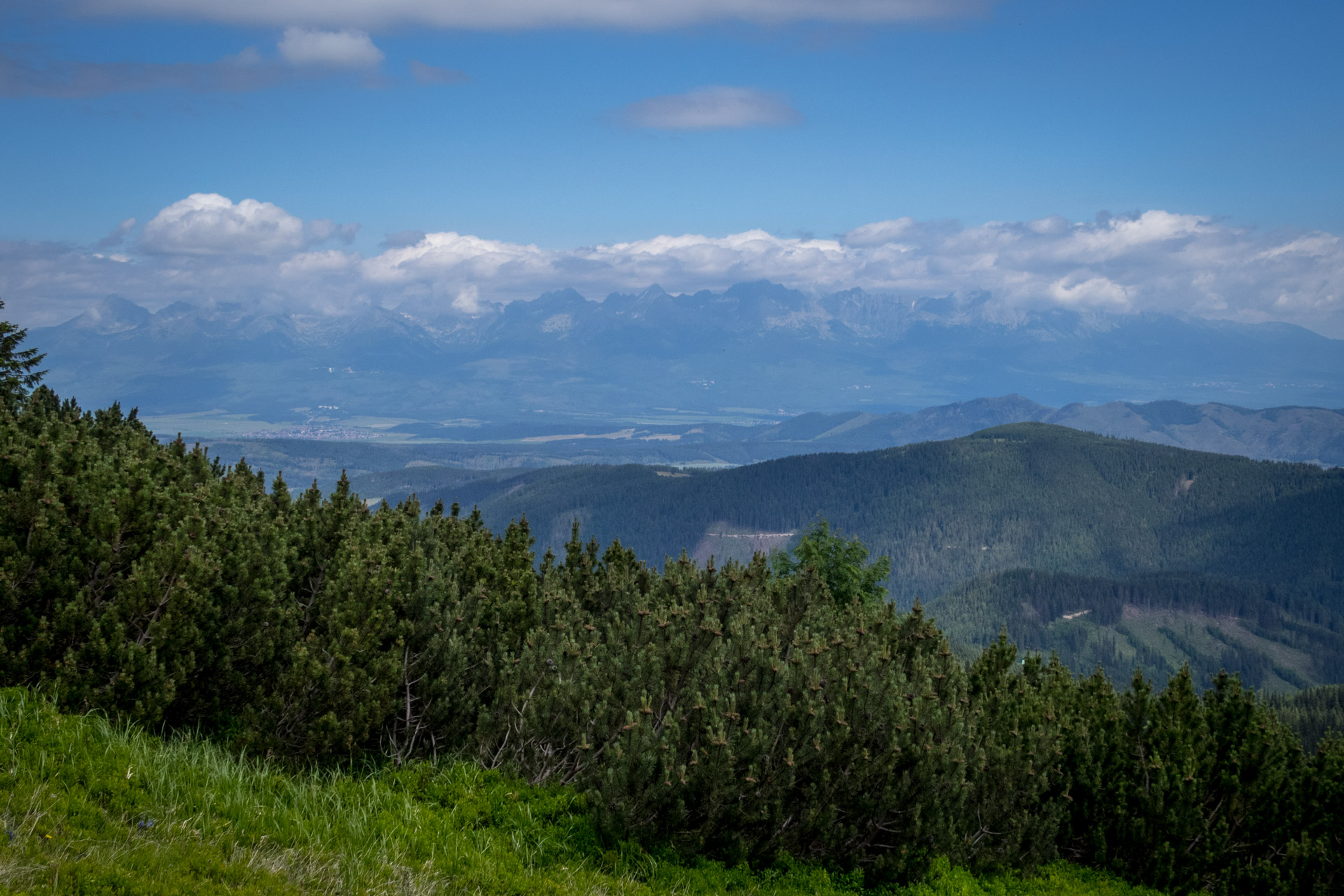 Kráľova hoľa a Ždiarske sedlo z Liptovskej Tepličky - Výpad (Nízke Tatry)