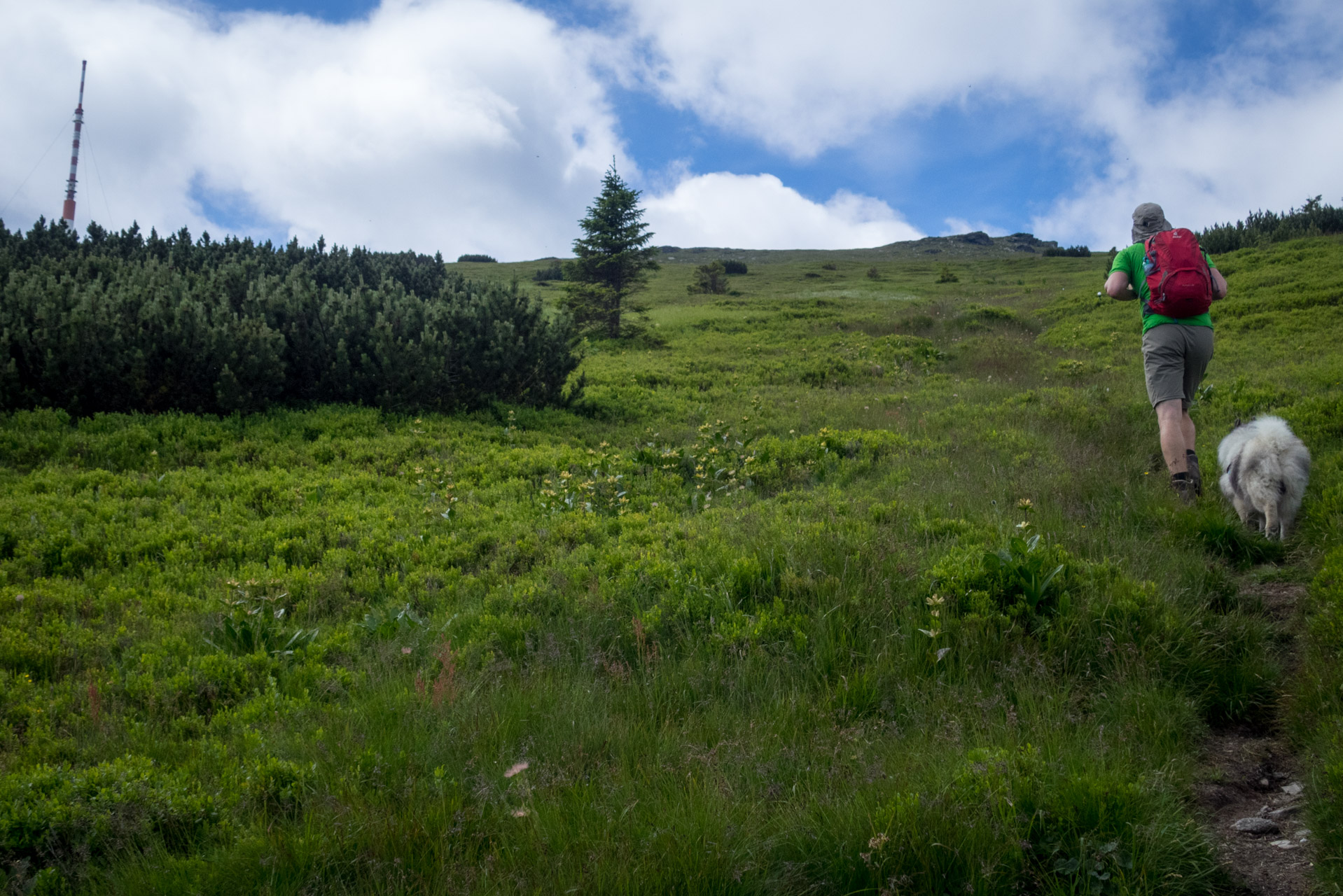 Kráľova hoľa a Ždiarske sedlo z Liptovskej Tepličky - Výpad (Nízke Tatry)