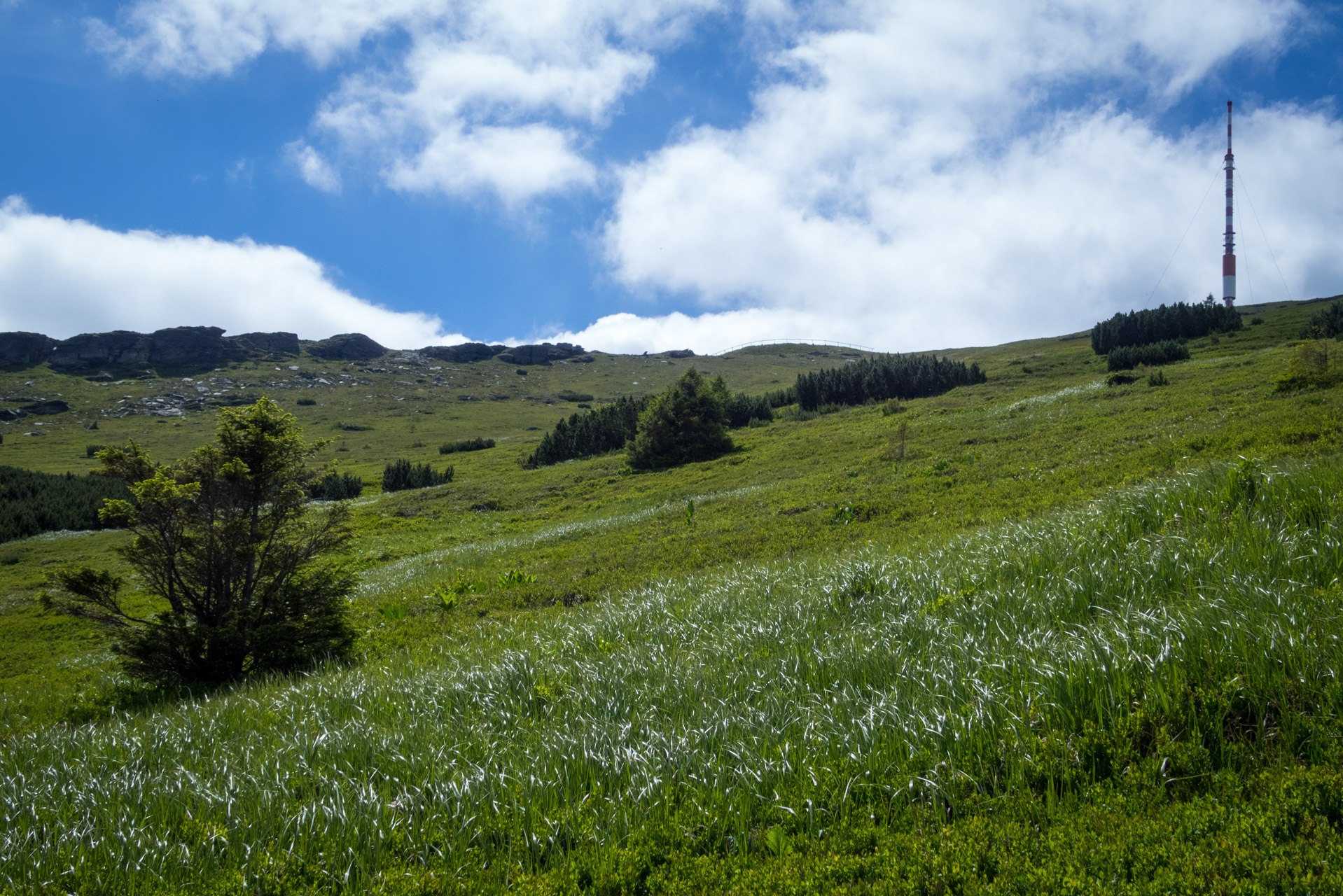 Kráľova hoľa a Ždiarske sedlo z Liptovskej Tepličky - Výpad (Nízke Tatry)