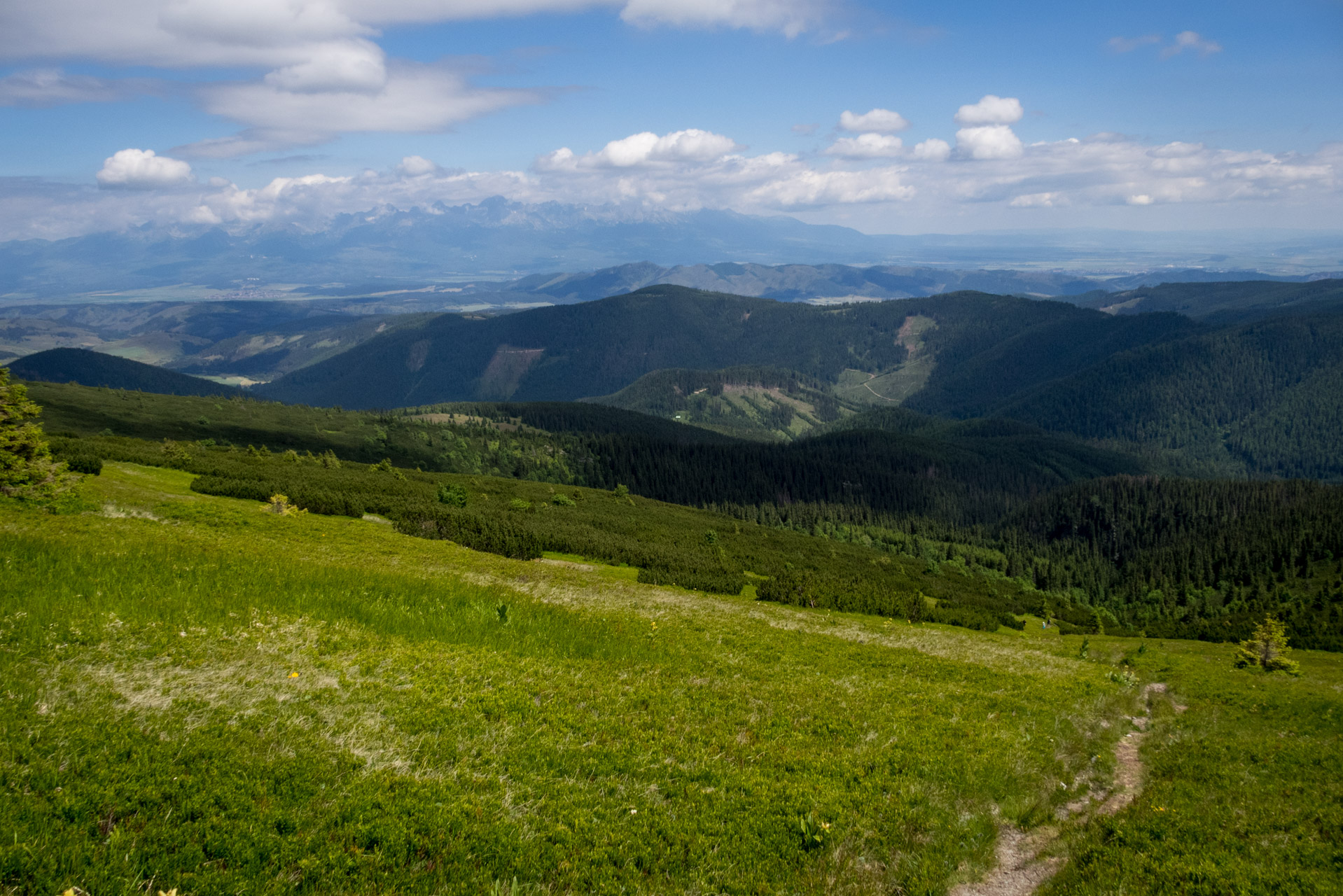 Kráľova hoľa a Ždiarske sedlo z Liptovskej Tepličky - Výpad (Nízke Tatry)