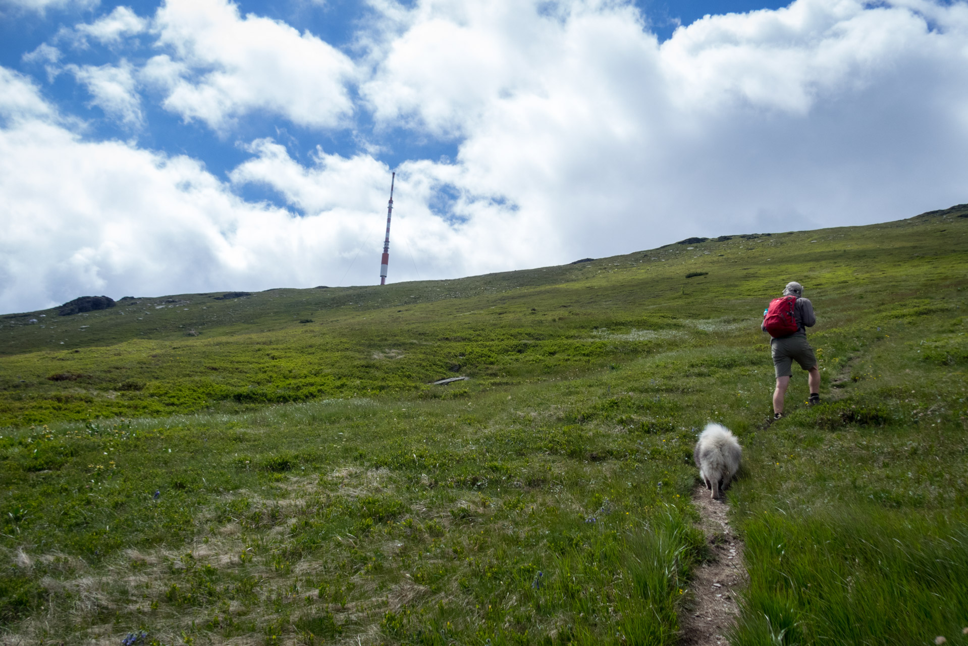 Kráľova hoľa a Ždiarske sedlo z Liptovskej Tepličky - Výpad (Nízke Tatry)