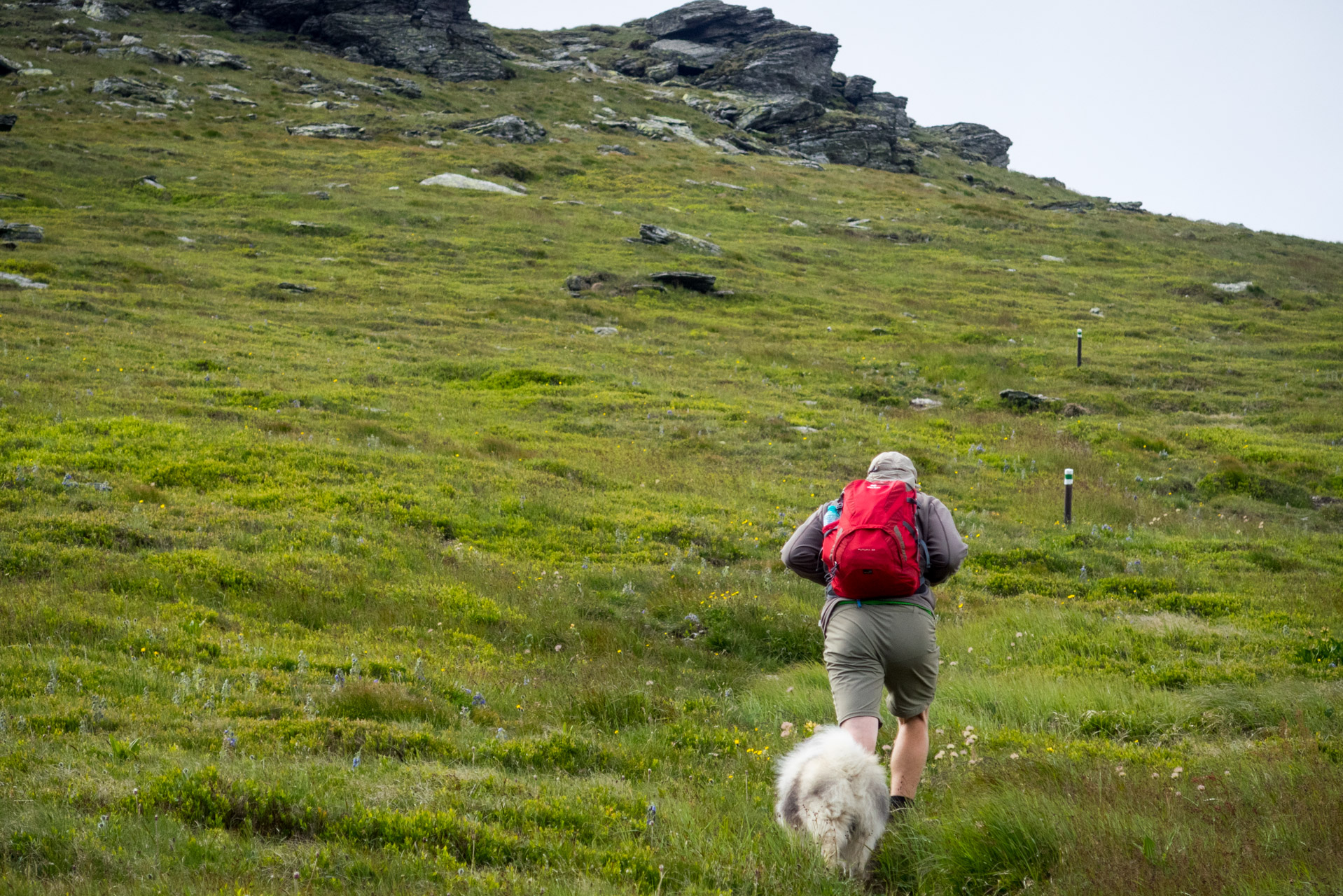 Kráľova hoľa a Ždiarske sedlo z Liptovskej Tepličky - Výpad (Nízke Tatry)