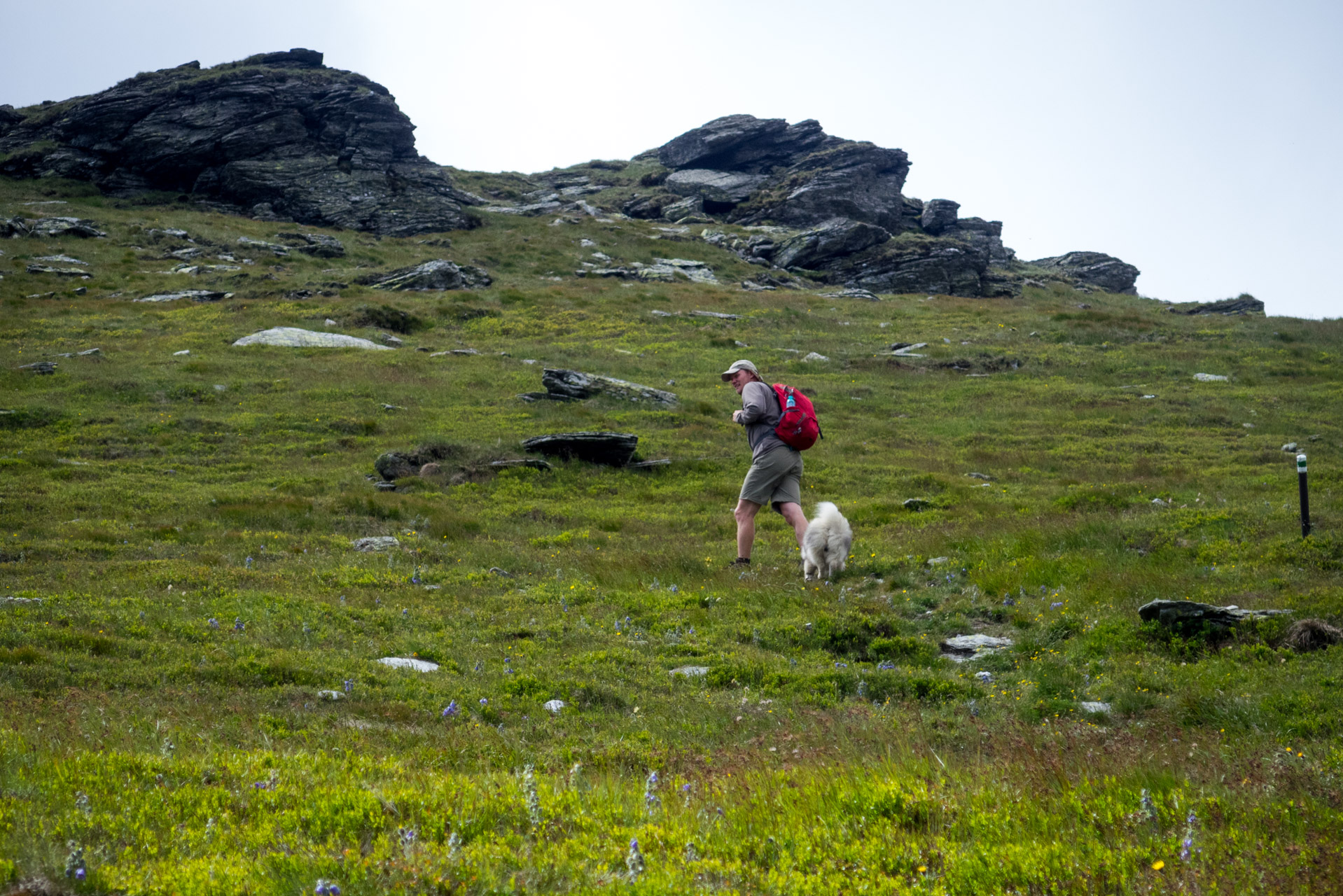 Kráľova hoľa a Ždiarske sedlo z Liptovskej Tepličky - Výpad (Nízke Tatry)