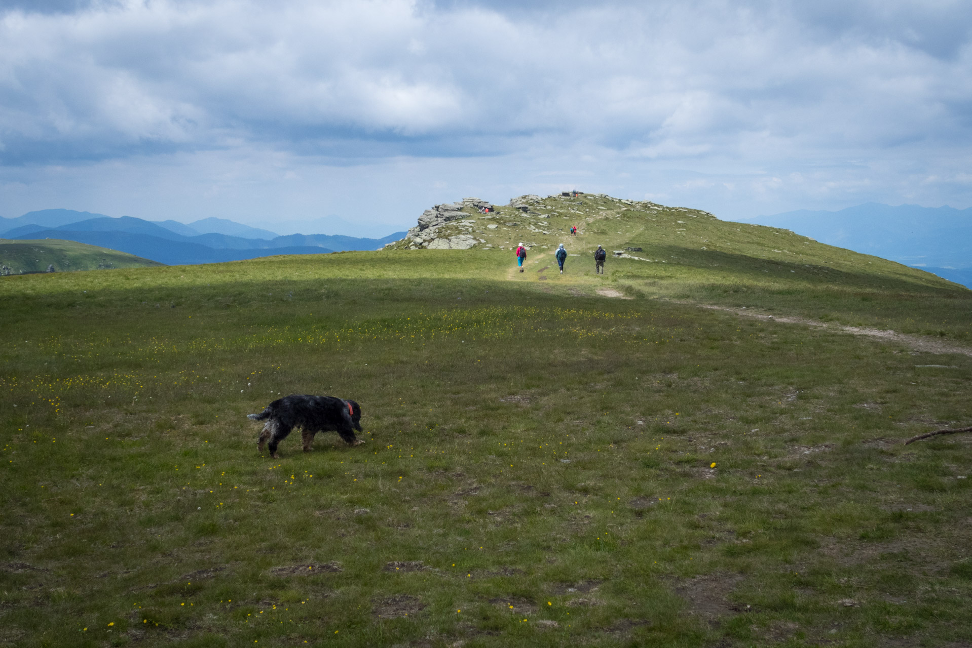 Kráľova hoľa a Ždiarske sedlo z Liptovskej Tepličky - Výpad (Nízke Tatry)