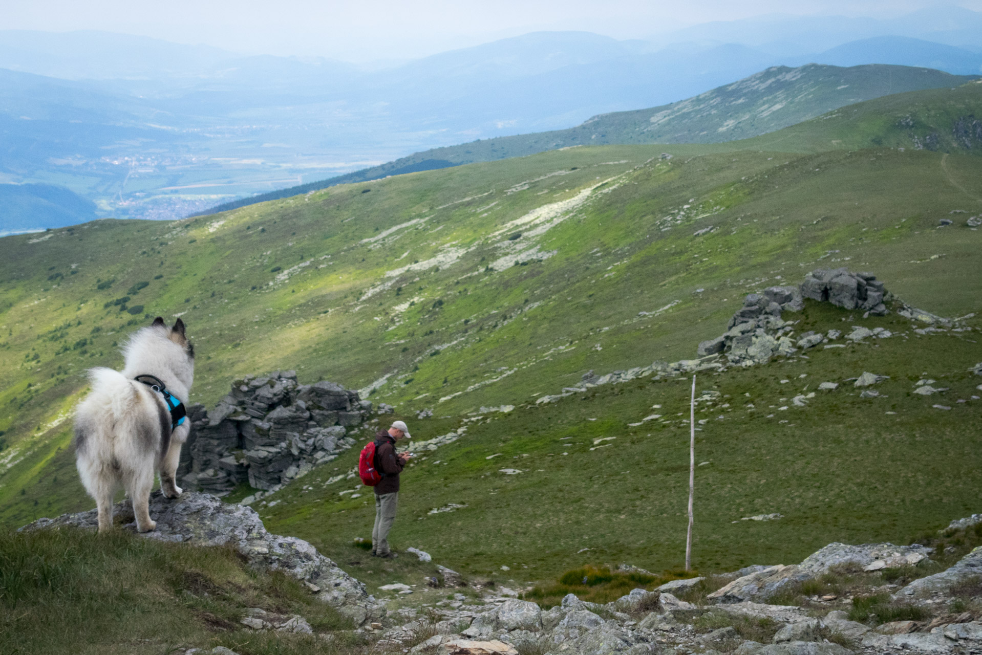 Kráľova hoľa a Ždiarske sedlo z Liptovskej Tepličky - Výpad (Nízke Tatry)