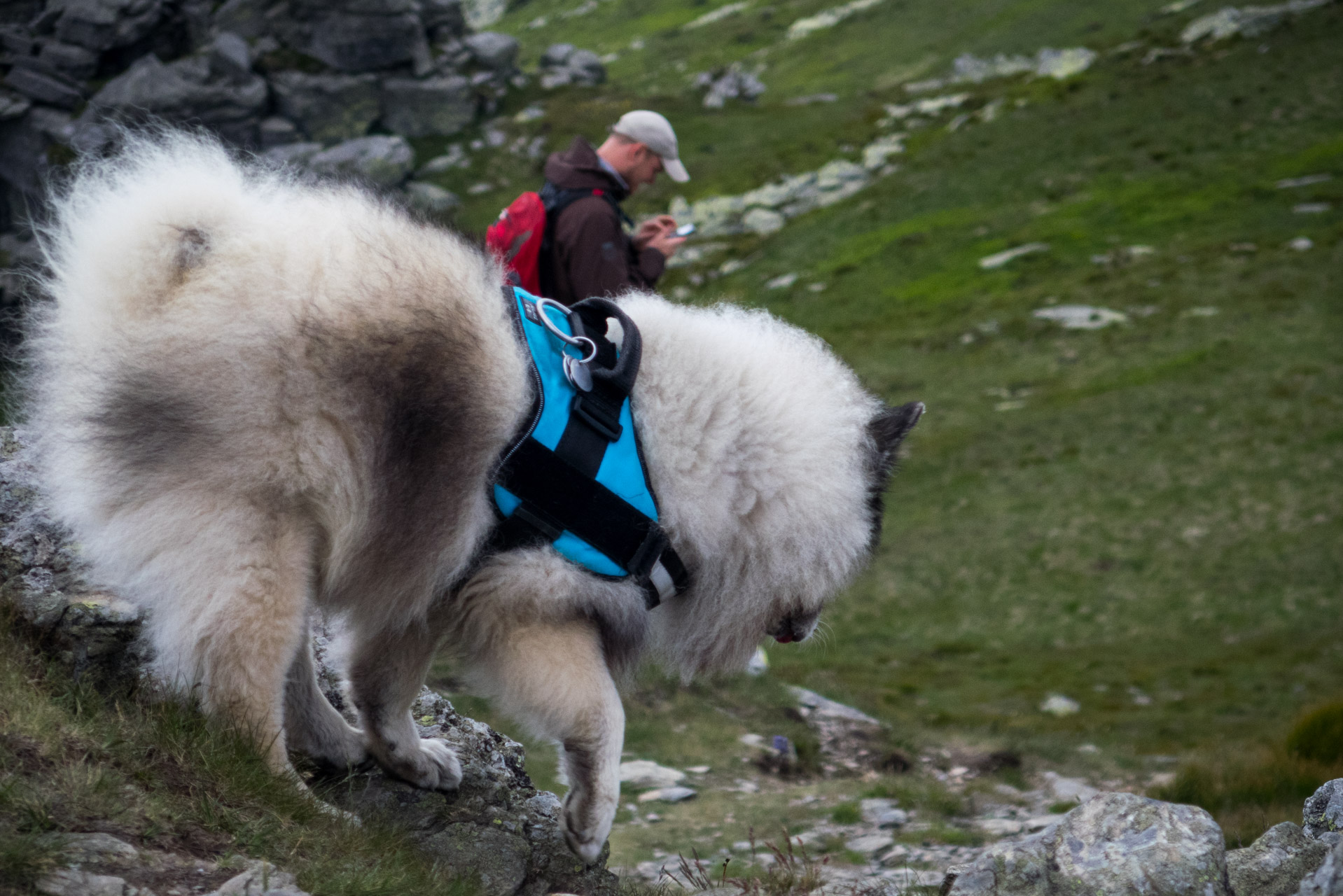 Kráľova hoľa a Ždiarske sedlo z Liptovskej Tepličky - Výpad (Nízke Tatry)