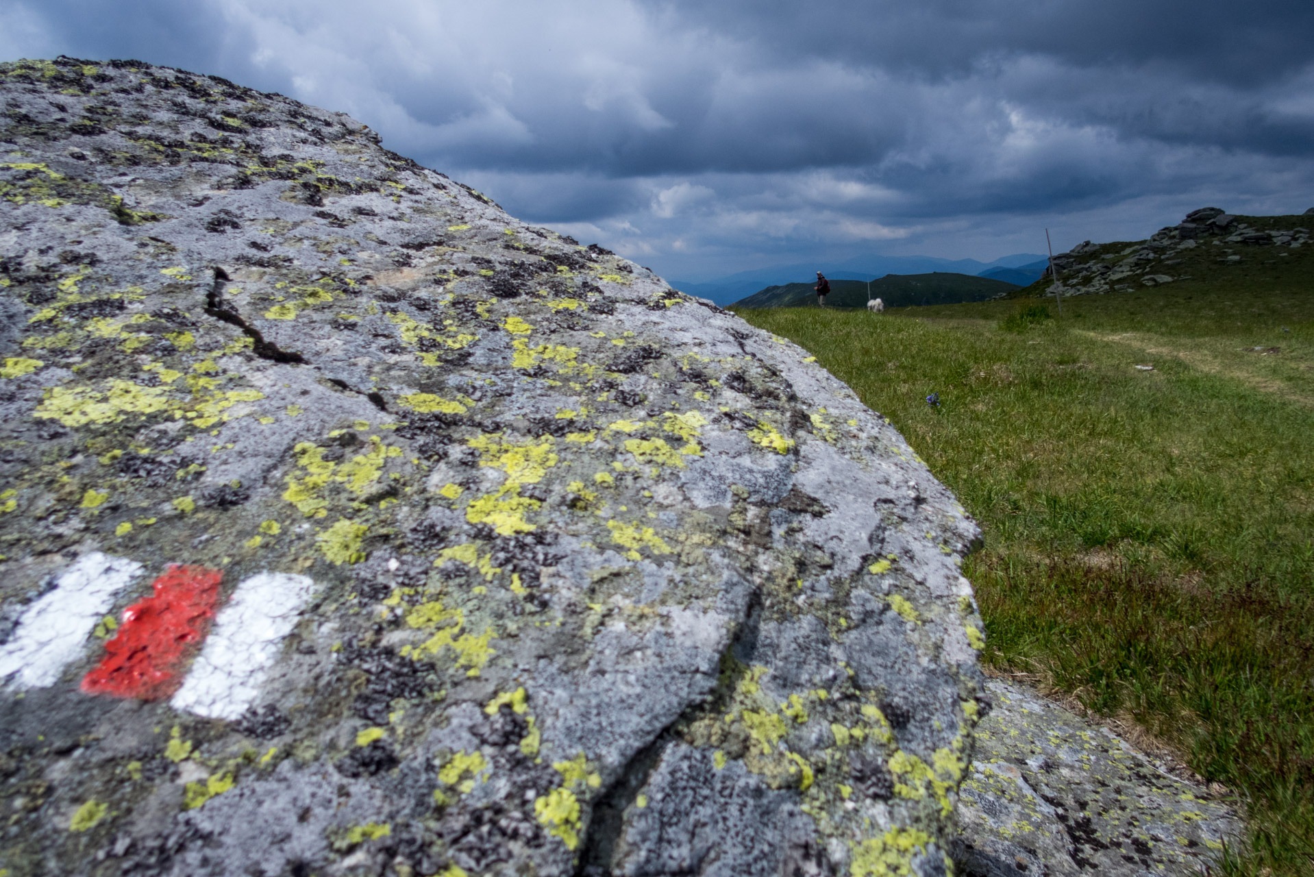 Kráľova hoľa a Ždiarske sedlo z Liptovskej Tepličky - Výpad (Nízke Tatry)