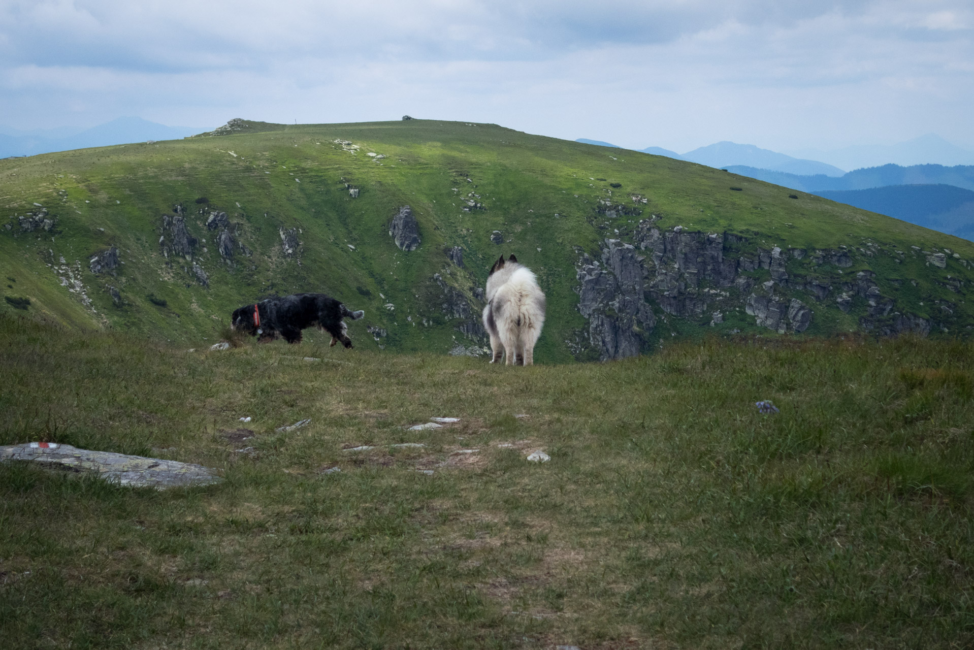 Kráľova hoľa a Ždiarske sedlo z Liptovskej Tepličky - Výpad (Nízke Tatry)