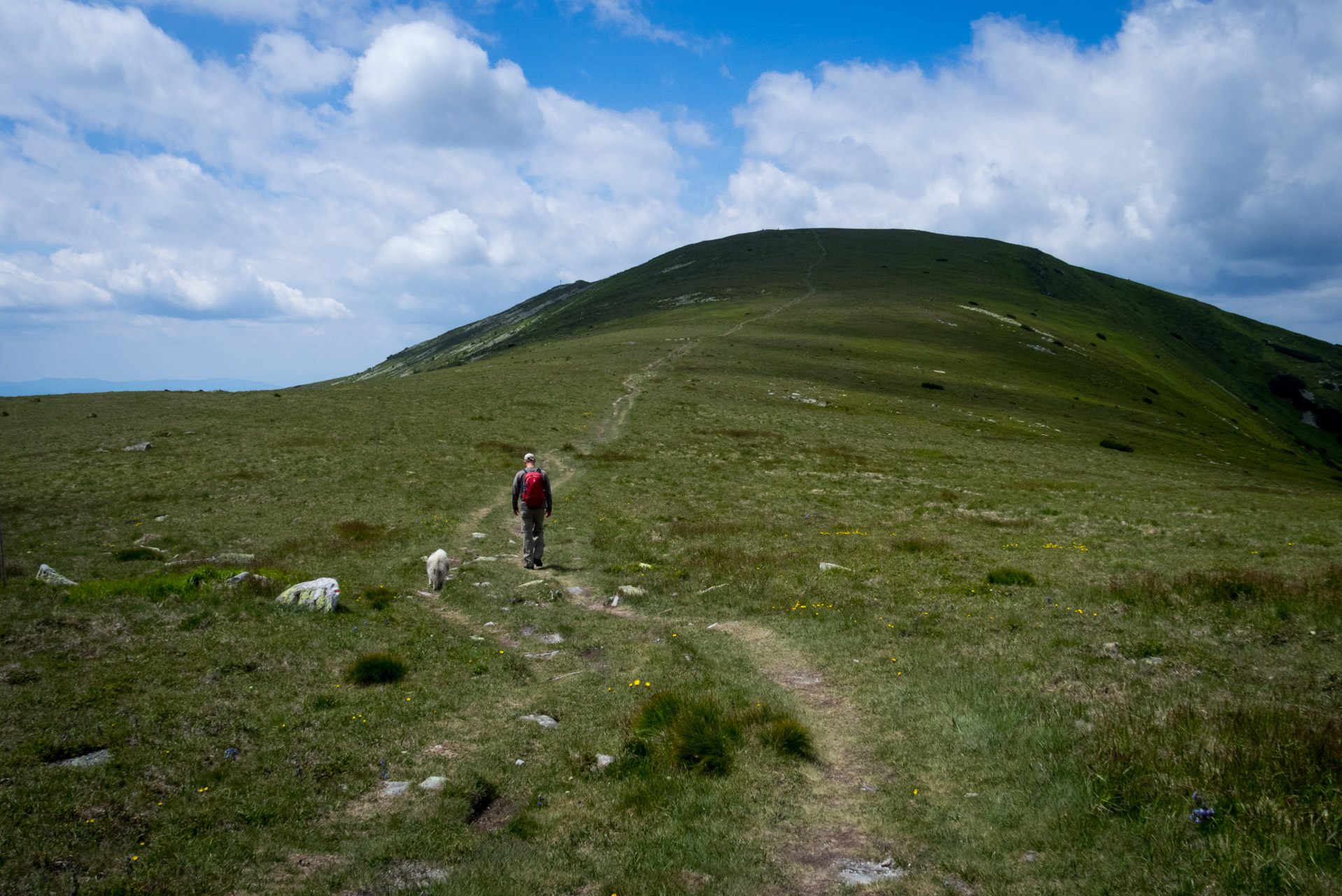 Kráľova hoľa a Ždiarske sedlo z Liptovskej Tepličky - Výpad (Nízke Tatry)