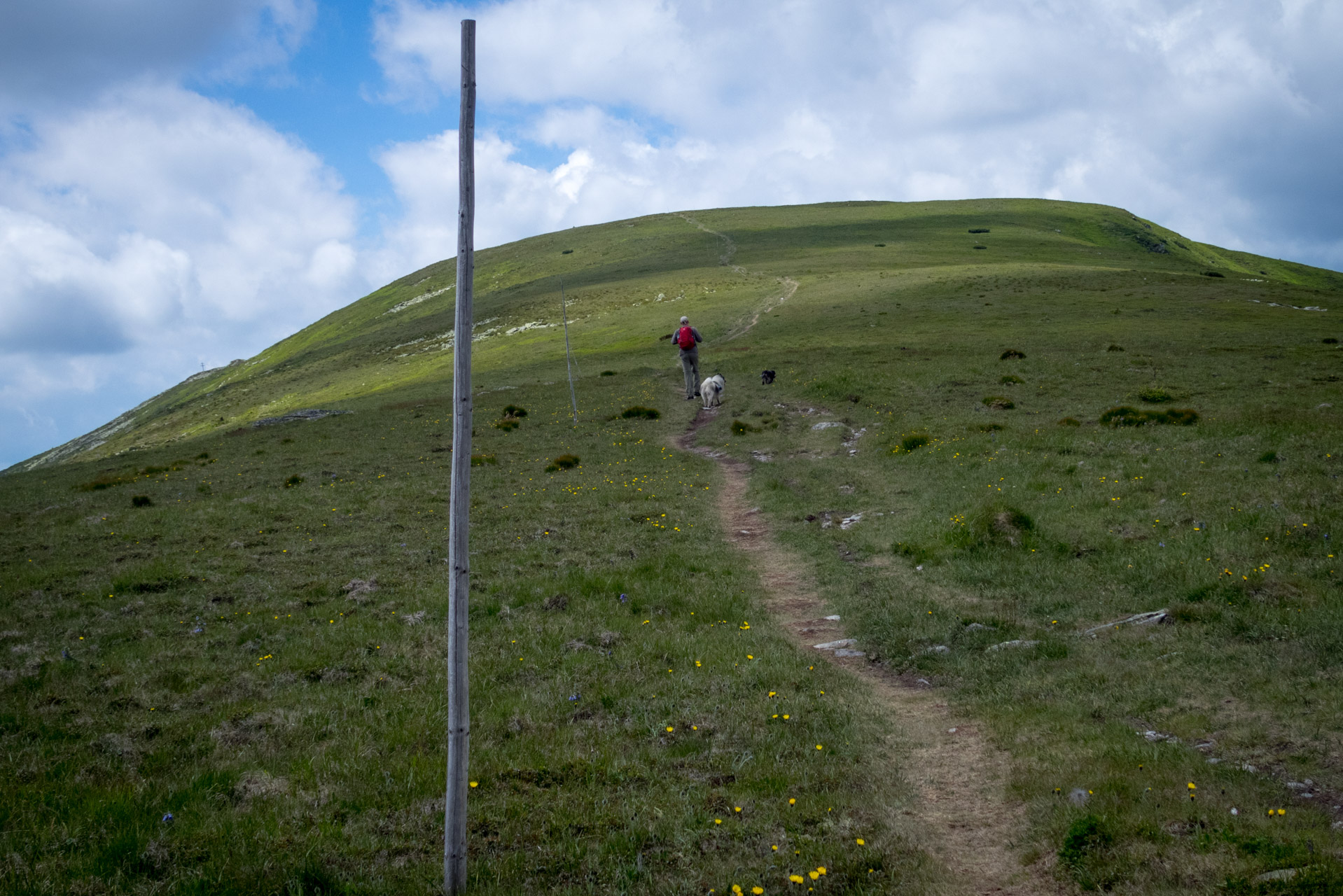 Kráľova hoľa a Ždiarske sedlo z Liptovskej Tepličky - Výpad (Nízke Tatry)