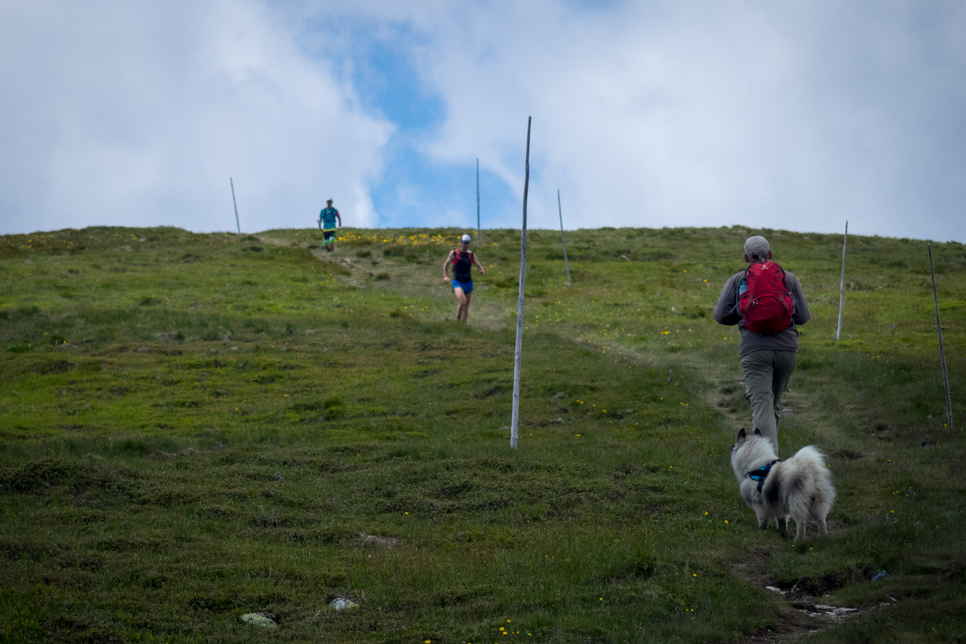 Kráľova hoľa a Ždiarske sedlo z Liptovskej Tepličky - Výpad (Nízke Tatry)