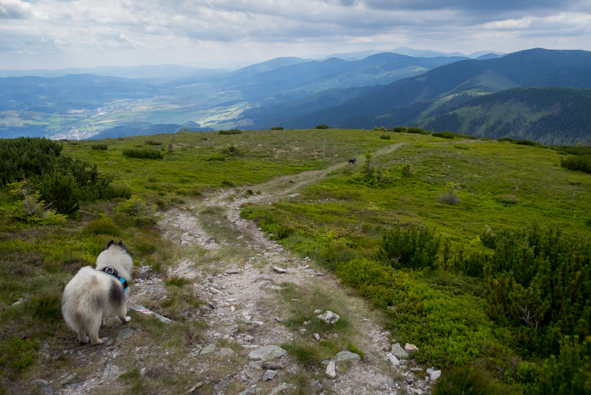 Kráľova hoľa a Ždiarske sedlo z Liptovskej Tepličky - Výpad (Nízke Tatry)