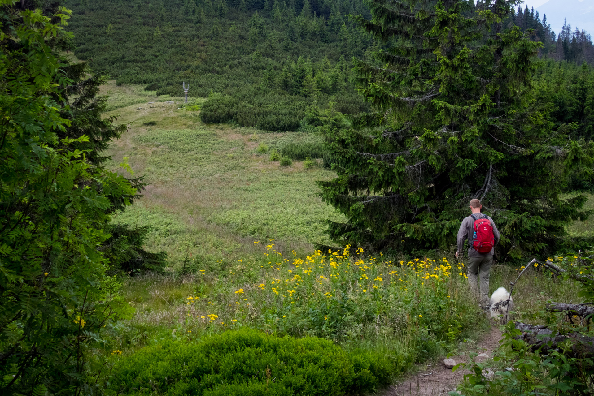 Kráľova hoľa a Ždiarske sedlo z Liptovskej Tepličky - Výpad (Nízke Tatry)