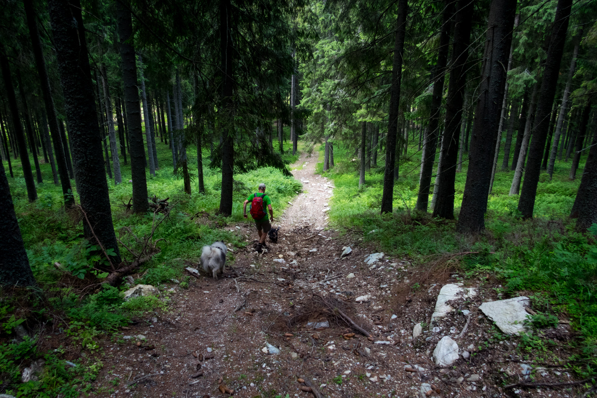 Kráľova hoľa a Ždiarske sedlo z Liptovskej Tepličky - Výpad (Nízke Tatry)