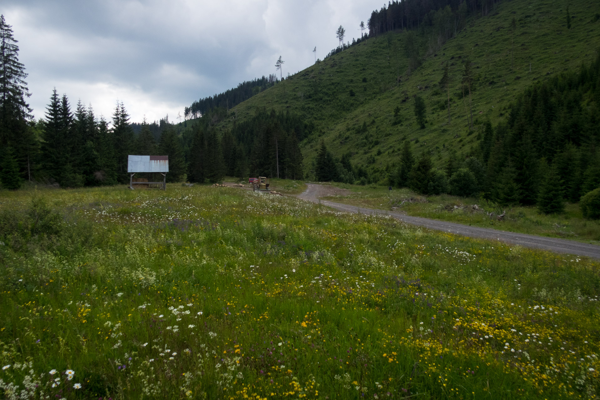 Kráľova hoľa a Ždiarske sedlo z Liptovskej Tepličky - Výpad (Nízke Tatry)