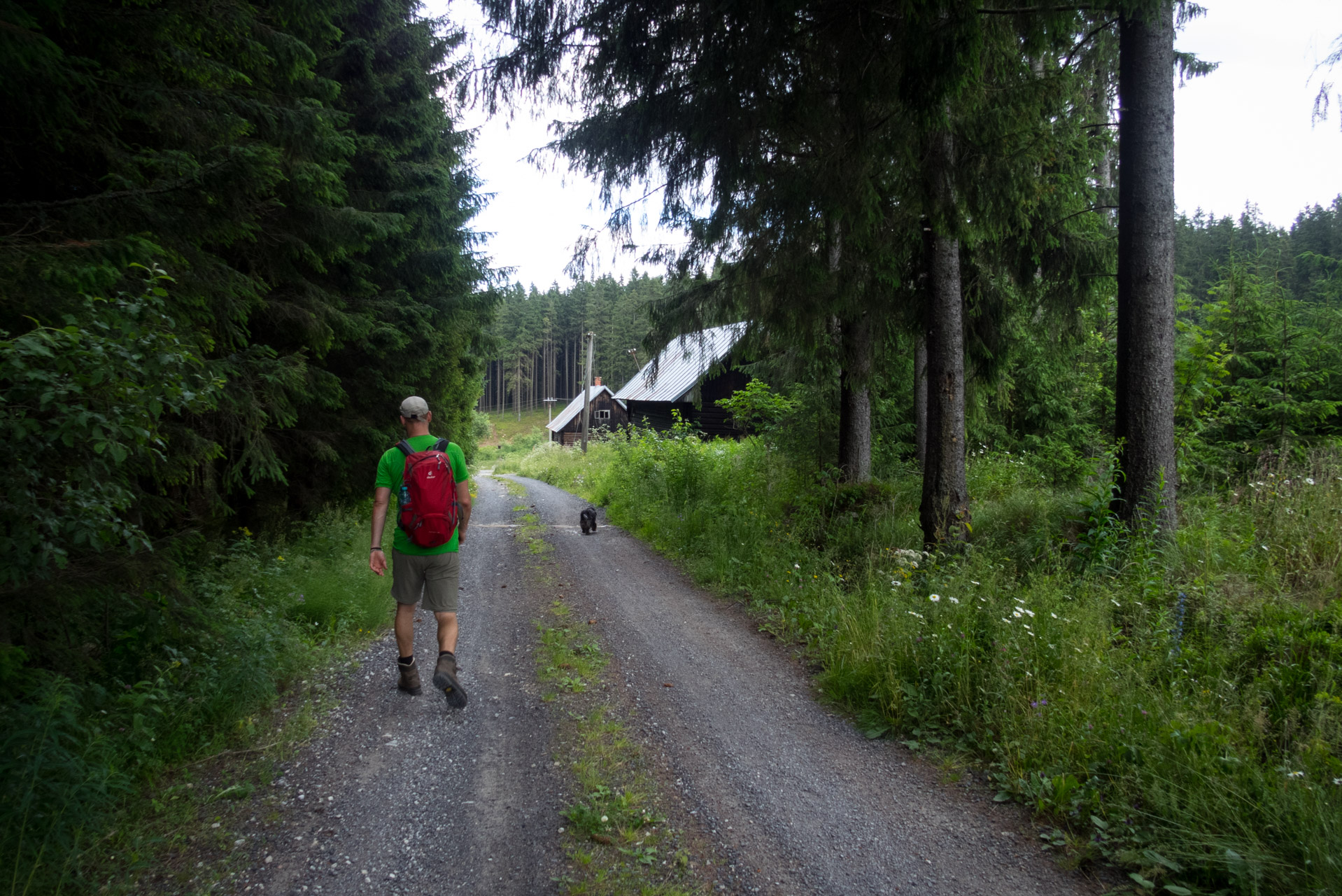 Kráľova hoľa a Ždiarske sedlo z Liptovskej Tepličky - Výpad (Nízke Tatry)