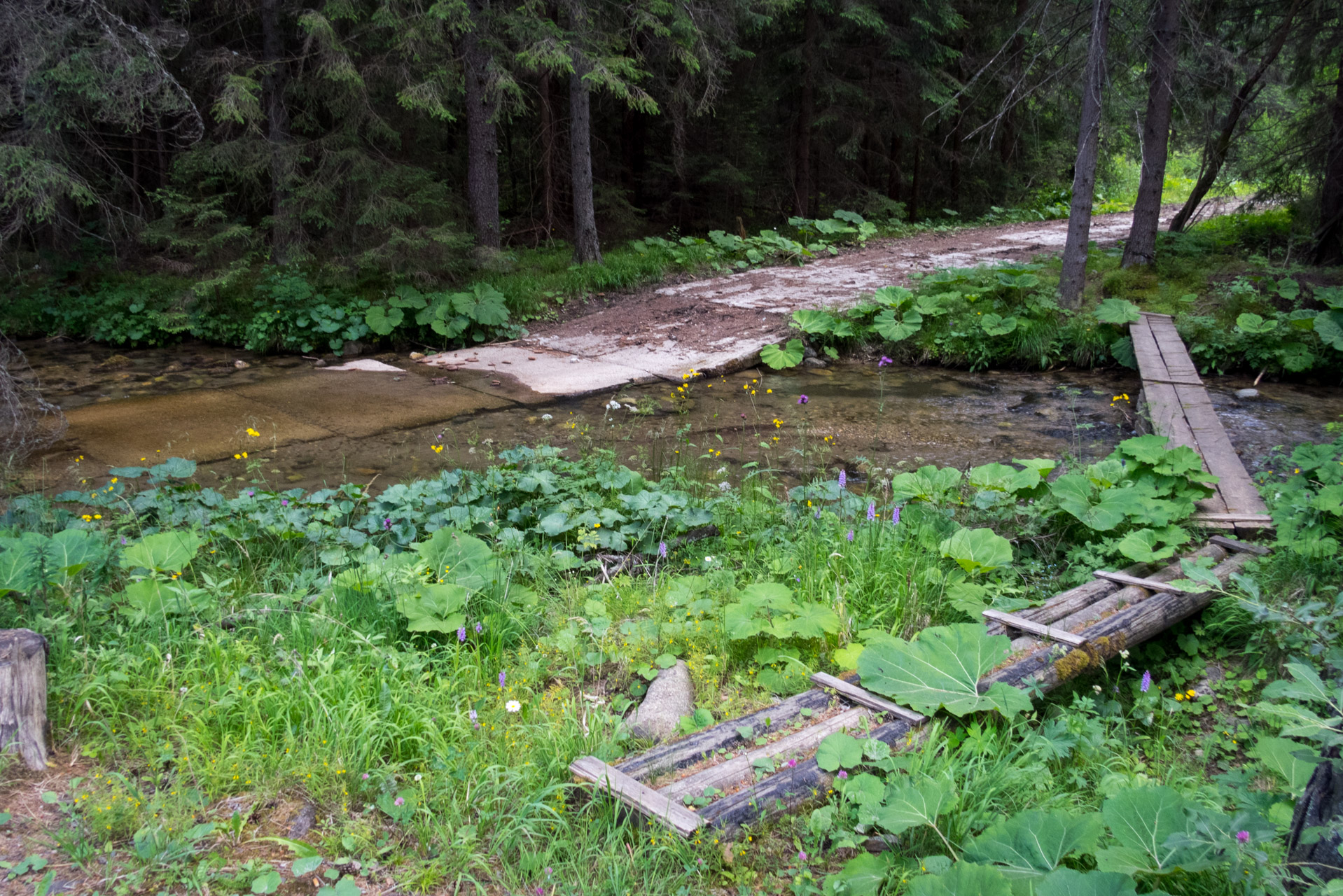 Kráľova hoľa a Ždiarske sedlo z Liptovskej Tepličky - Výpad (Nízke Tatry)