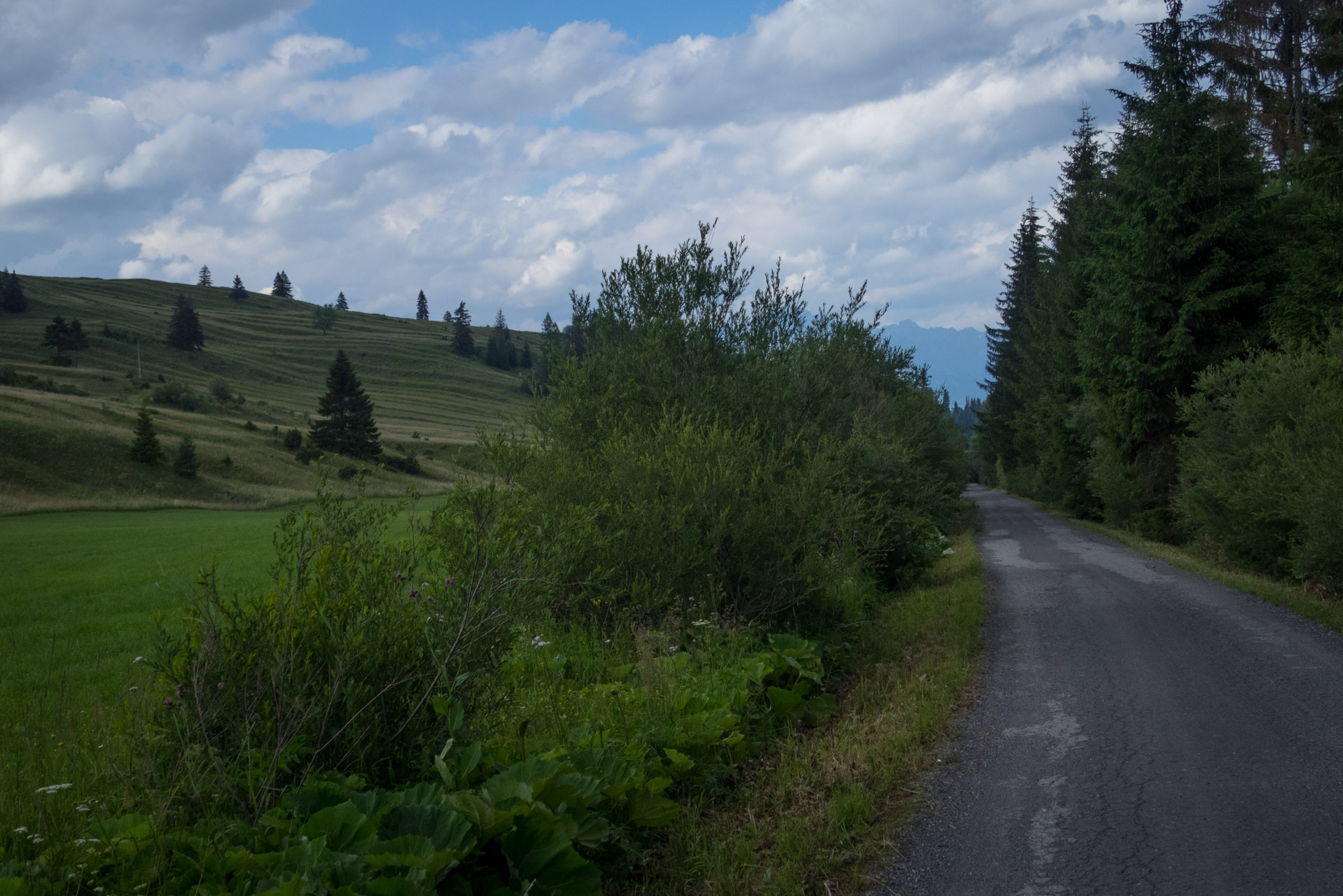 Kráľova hoľa a Ždiarske sedlo z Liptovskej Tepličky - Výpad (Nízke Tatry)