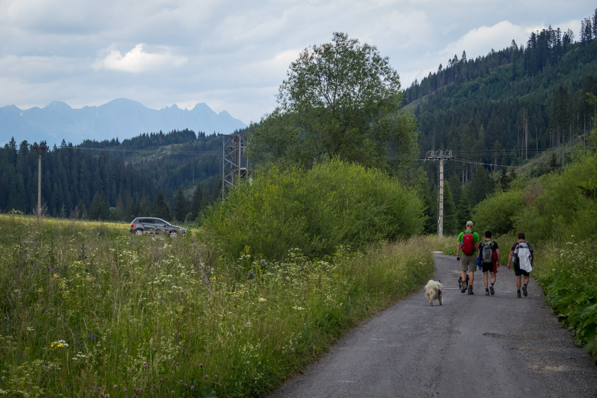 Kráľova hoľa a Ždiarske sedlo z Liptovskej Tepličky - Výpad (Nízke Tatry)