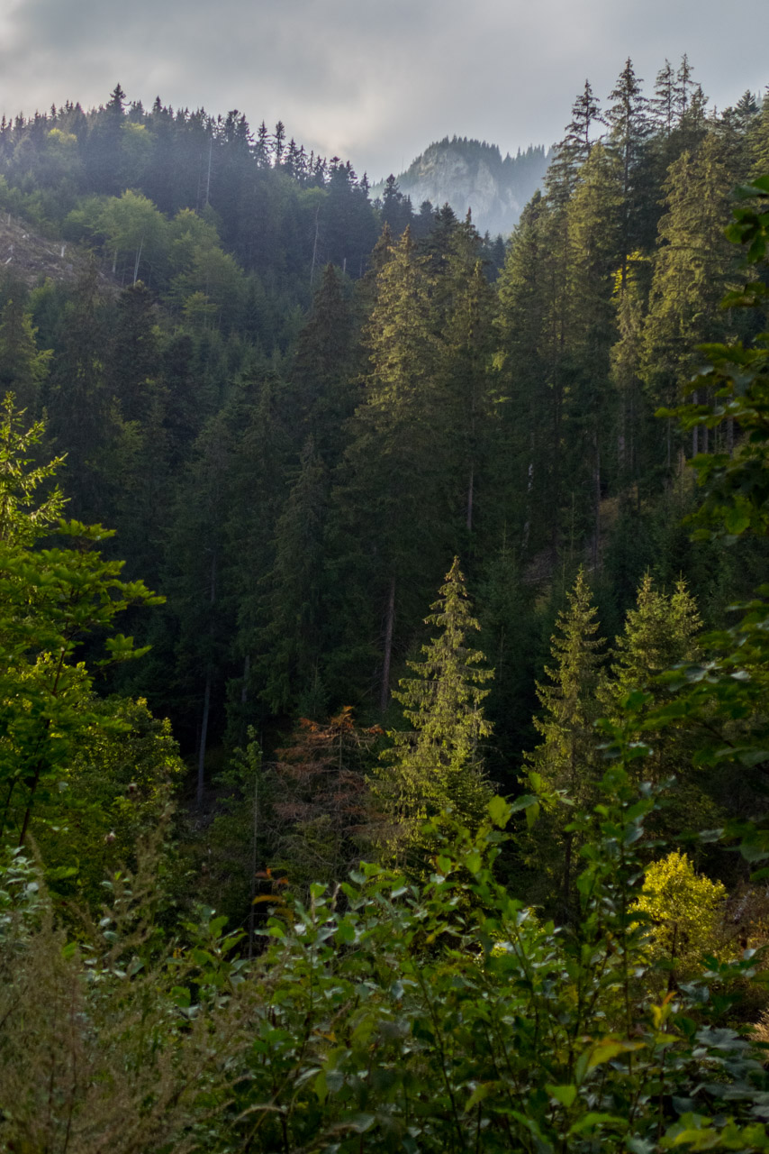 Ohnište z Malužinej (Pufo is Ten) (Nízke Tatry)