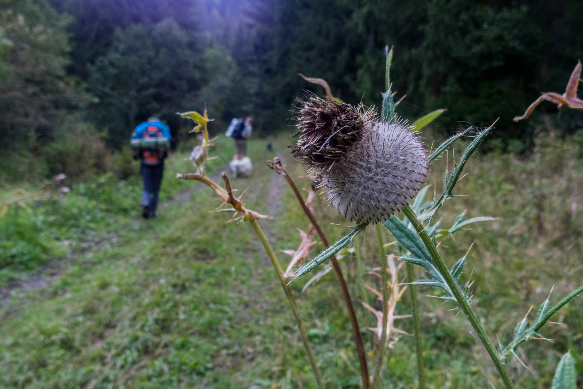 Ohnište z Malužinej (Pufo is Ten) (Nízke Tatry)