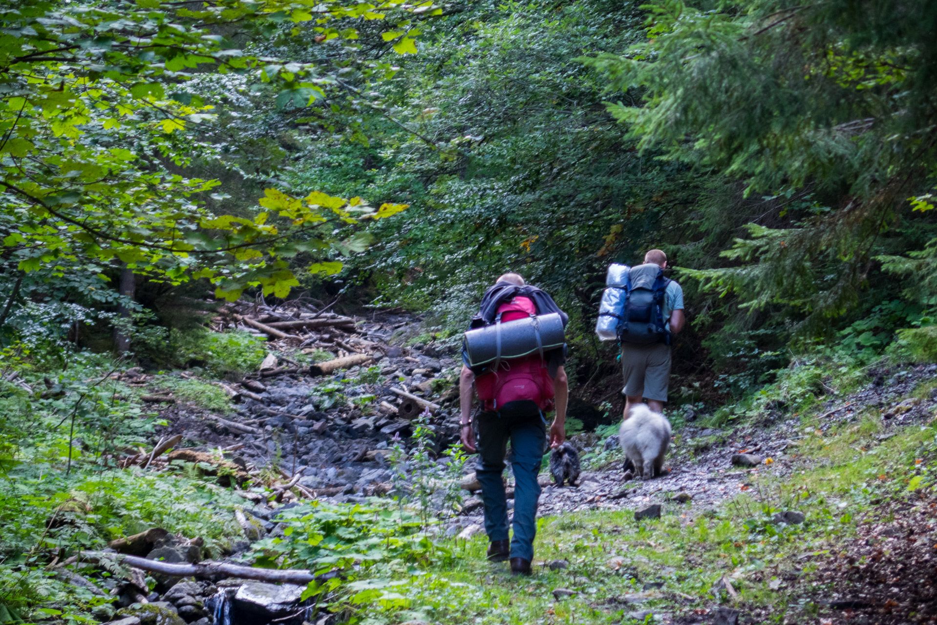 Ohnište z Malužinej (Pufo is Ten) (Nízke Tatry)