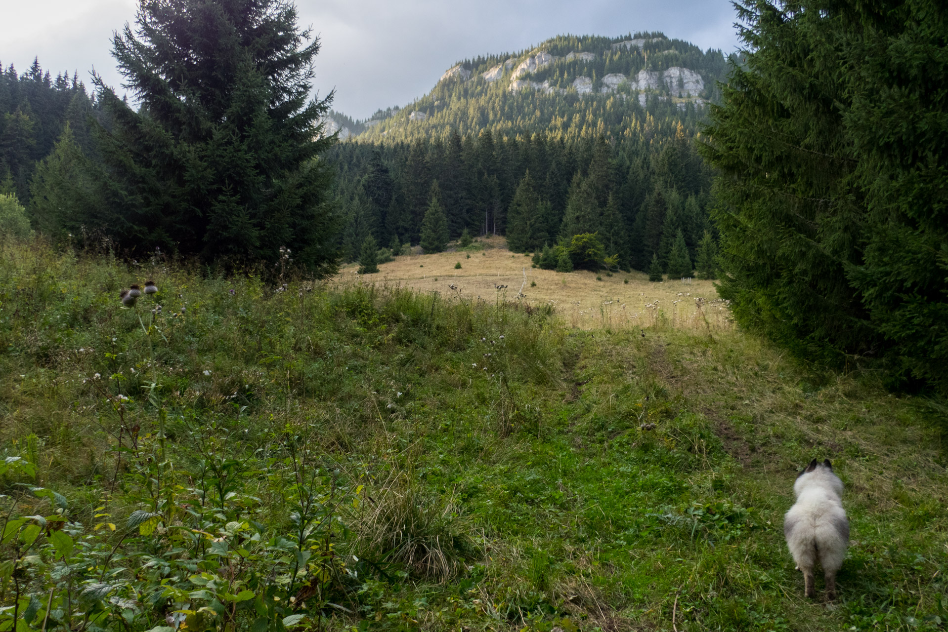 Ohnište z Malužinej (Pufo is Ten) (Nízke Tatry)