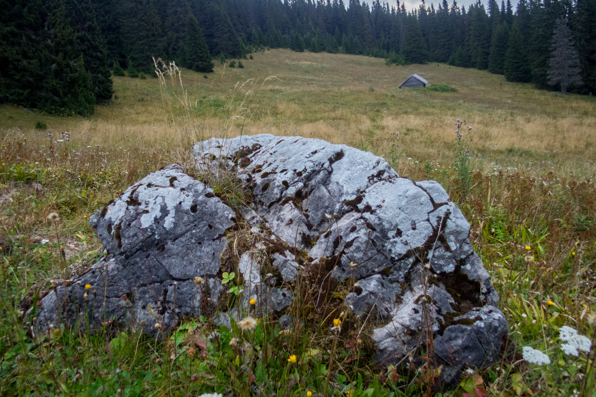 Ohnište z Malužinej (Pufo is Ten) (Nízke Tatry)