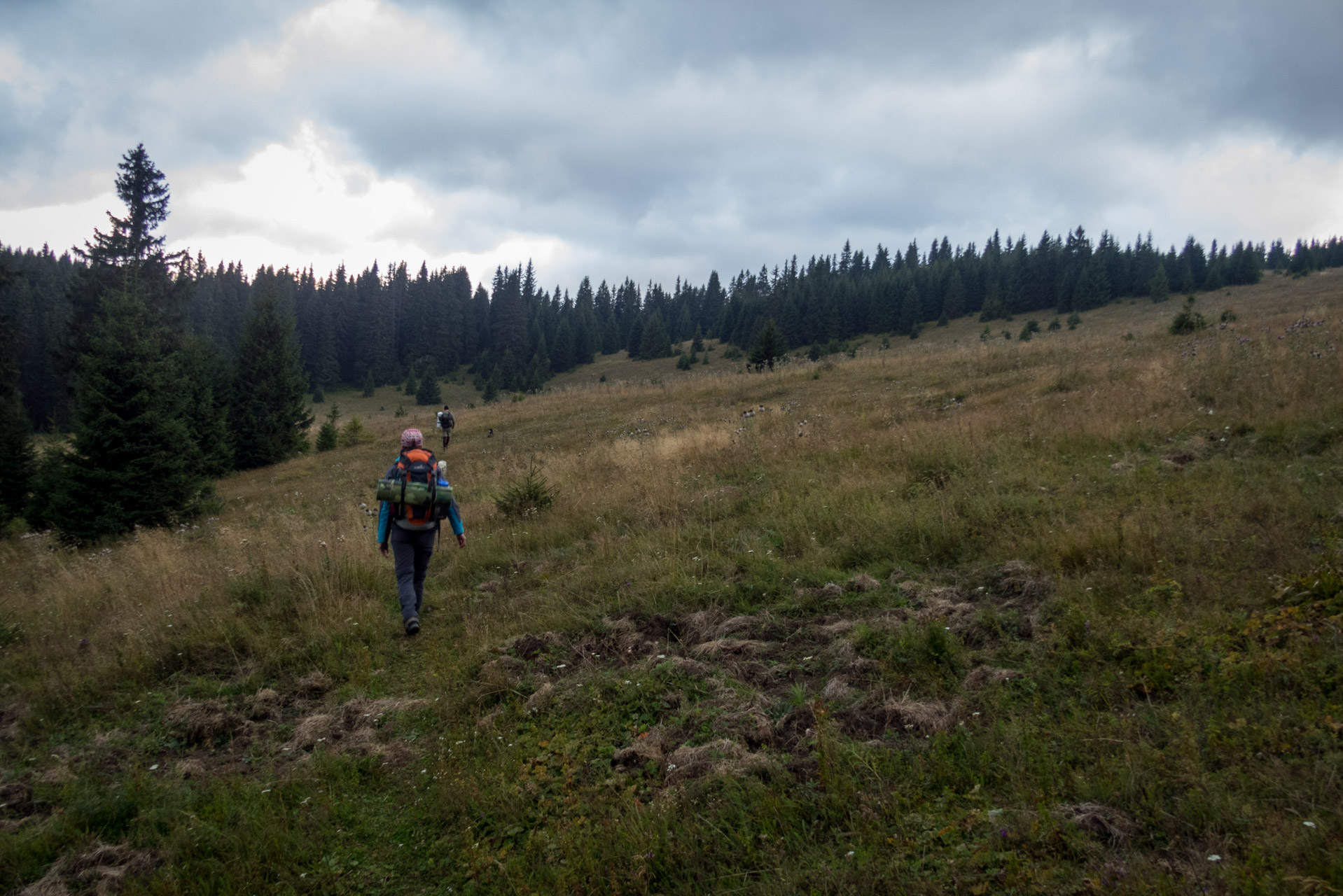 Ohnište z Malužinej (Pufo is Ten) (Nízke Tatry)