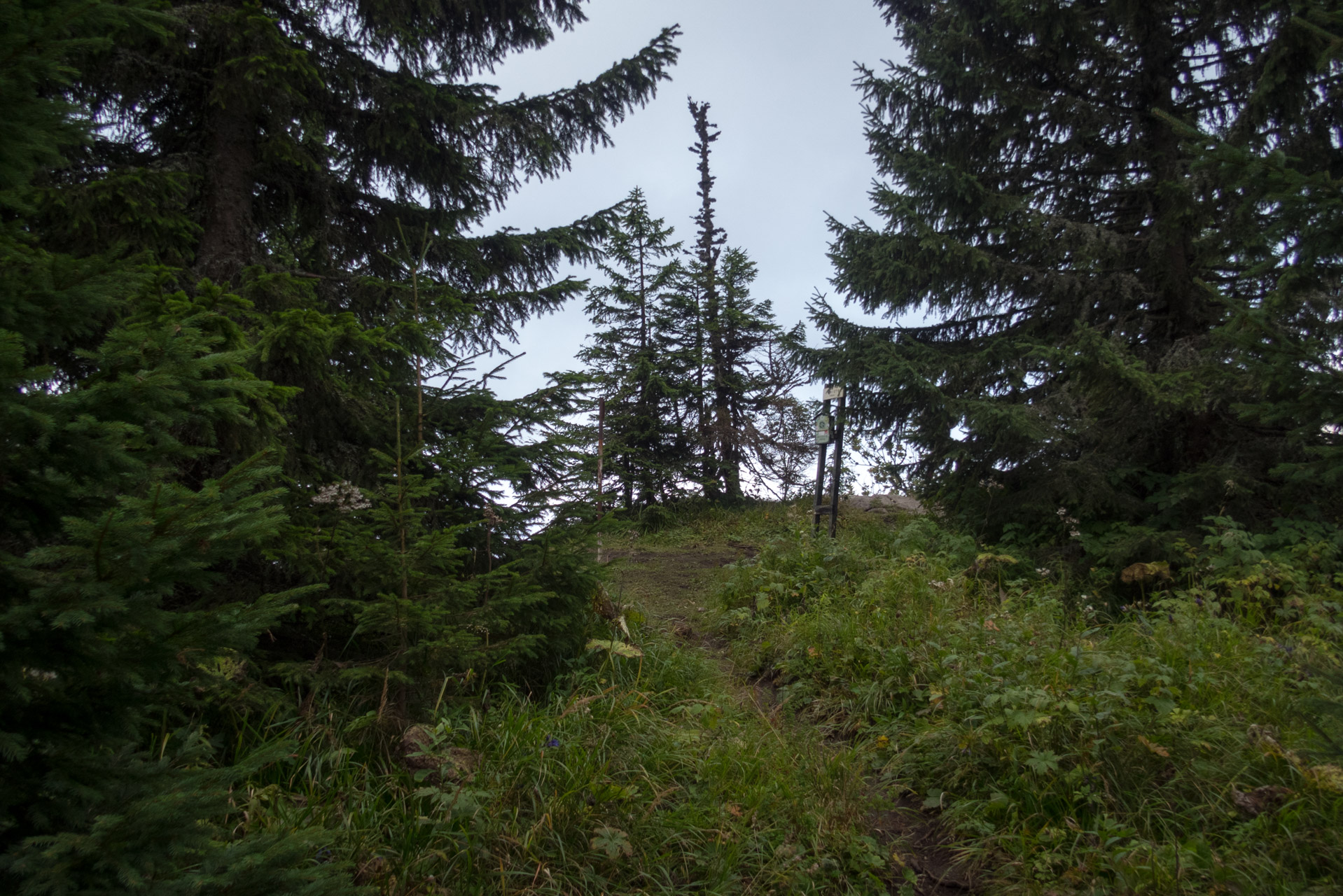 Ohnište z Malužinej (Pufo is Ten) (Nízke Tatry)