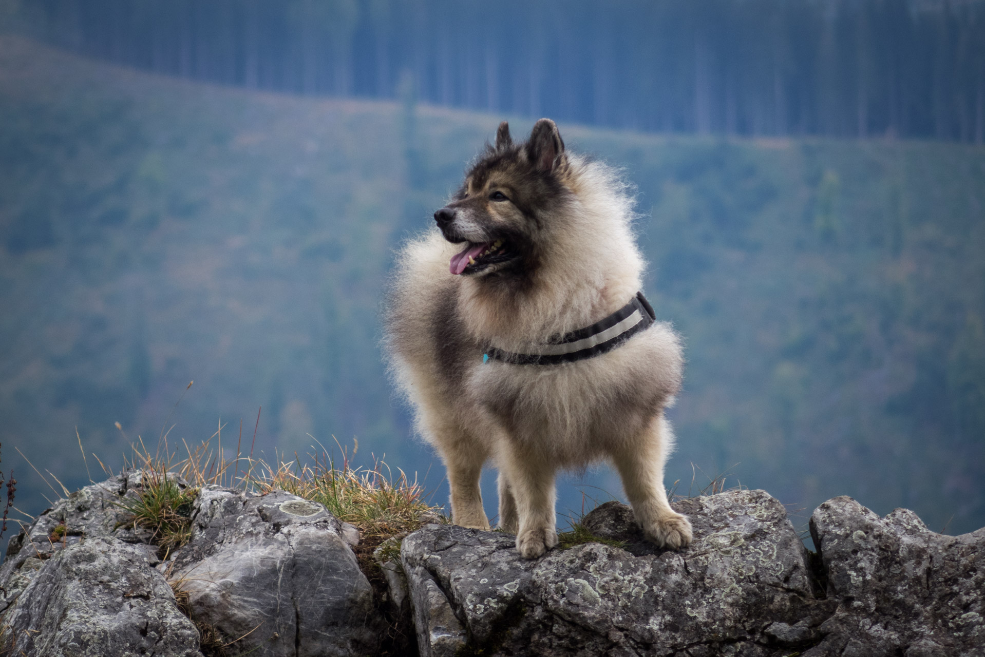 Ohnište z Malužinej (Pufo is Ten) (Nízke Tatry)