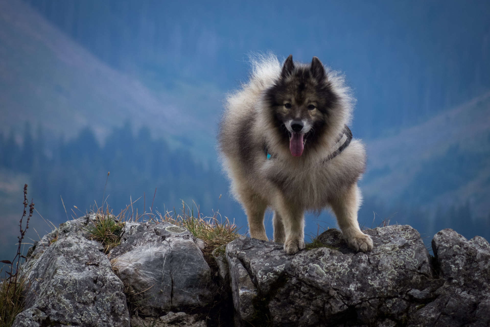 Ohnište z Malužinej (Pufo is Ten) (Nízke Tatry)