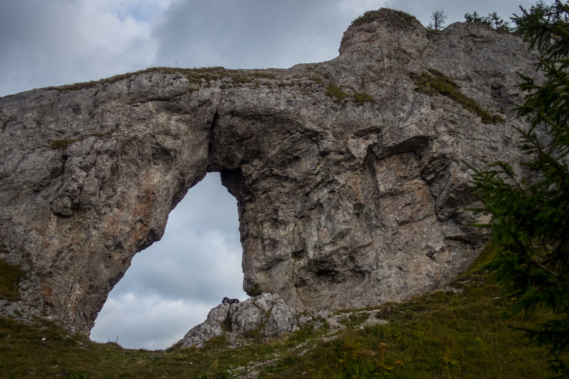 Ohnište z Malužinej (Pufo is Ten) (Nízke Tatry)