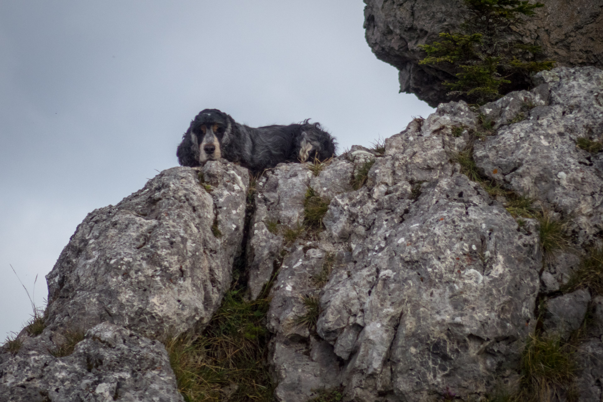 Ohnište z Malužinej (Pufo is Ten) (Nízke Tatry)