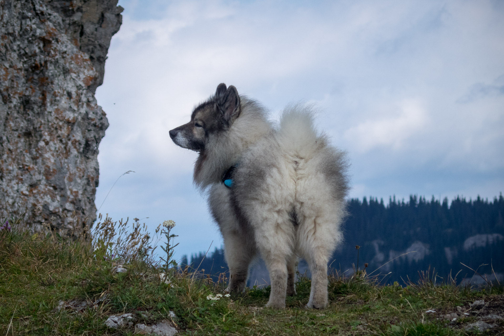 Ohnište z Malužinej (Pufo is Ten) (Nízke Tatry)