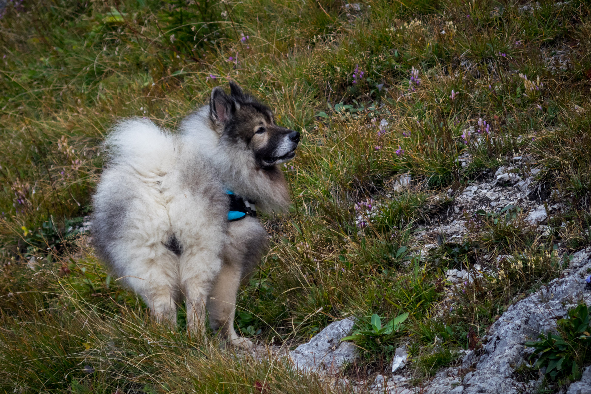 Ohnište z Malužinej (Pufo is Ten) (Nízke Tatry)