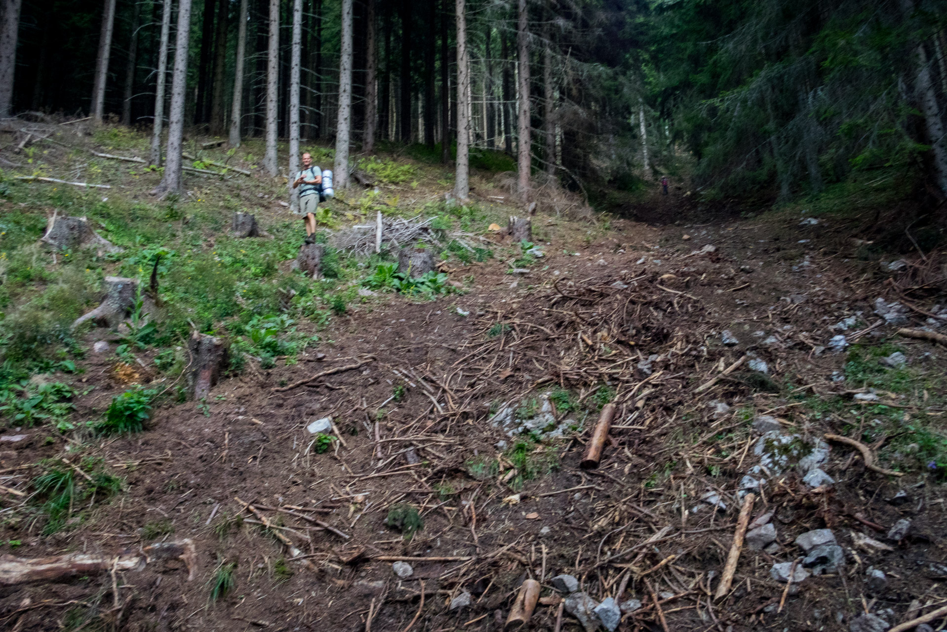 Ohnište z Malužinej (Pufo is Ten) (Nízke Tatry)