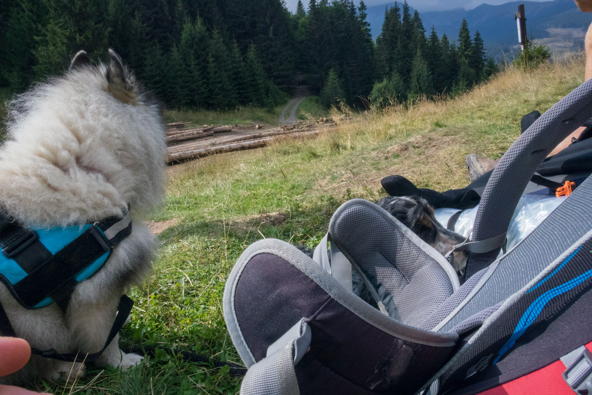 Ohnište z Malužinej (Pufo is Ten) (Nízke Tatry)