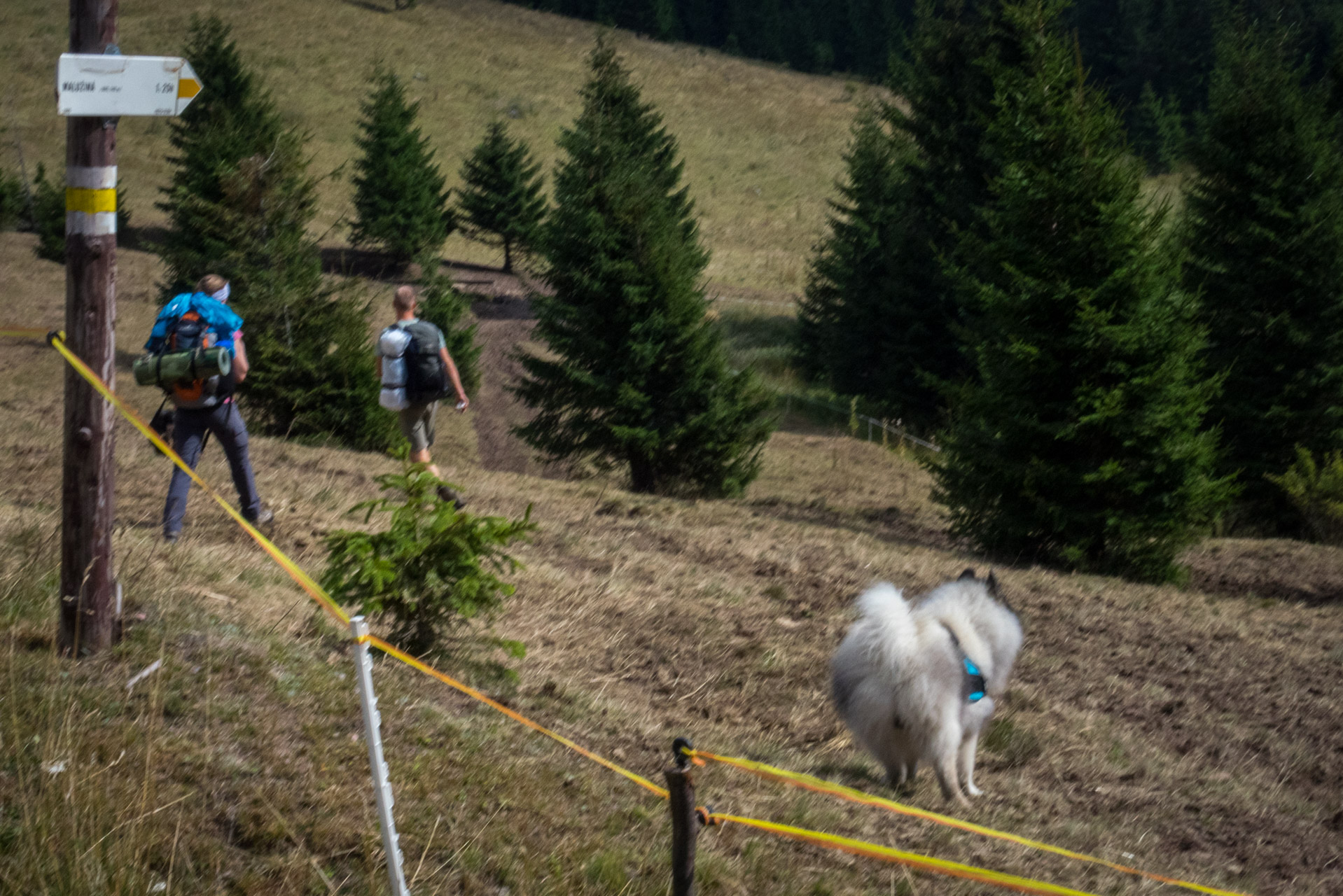 Ohnište z Malužinej (Pufo is Ten) (Nízke Tatry)