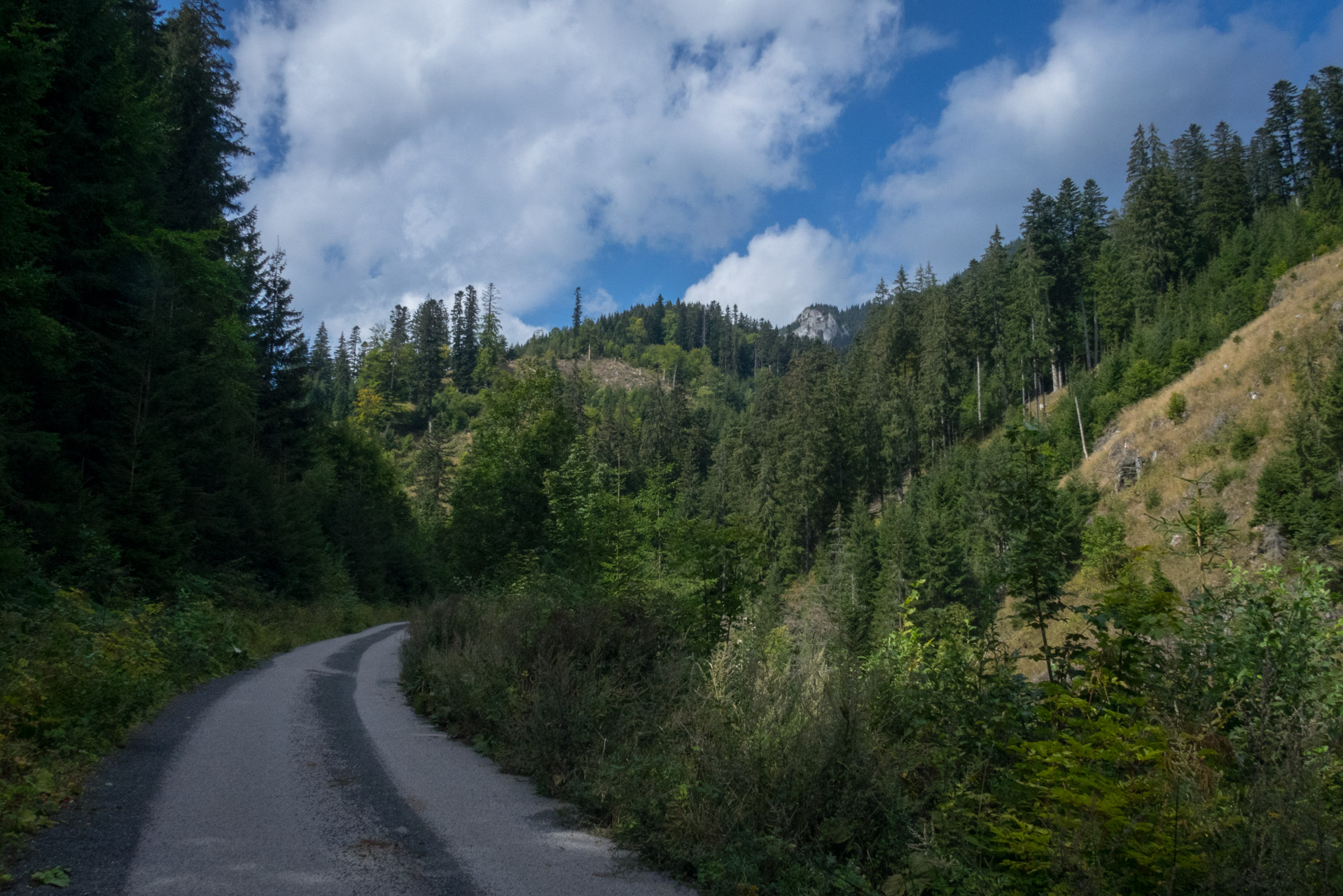 Ohnište z Malužinej (Pufo is Ten) (Nízke Tatry)