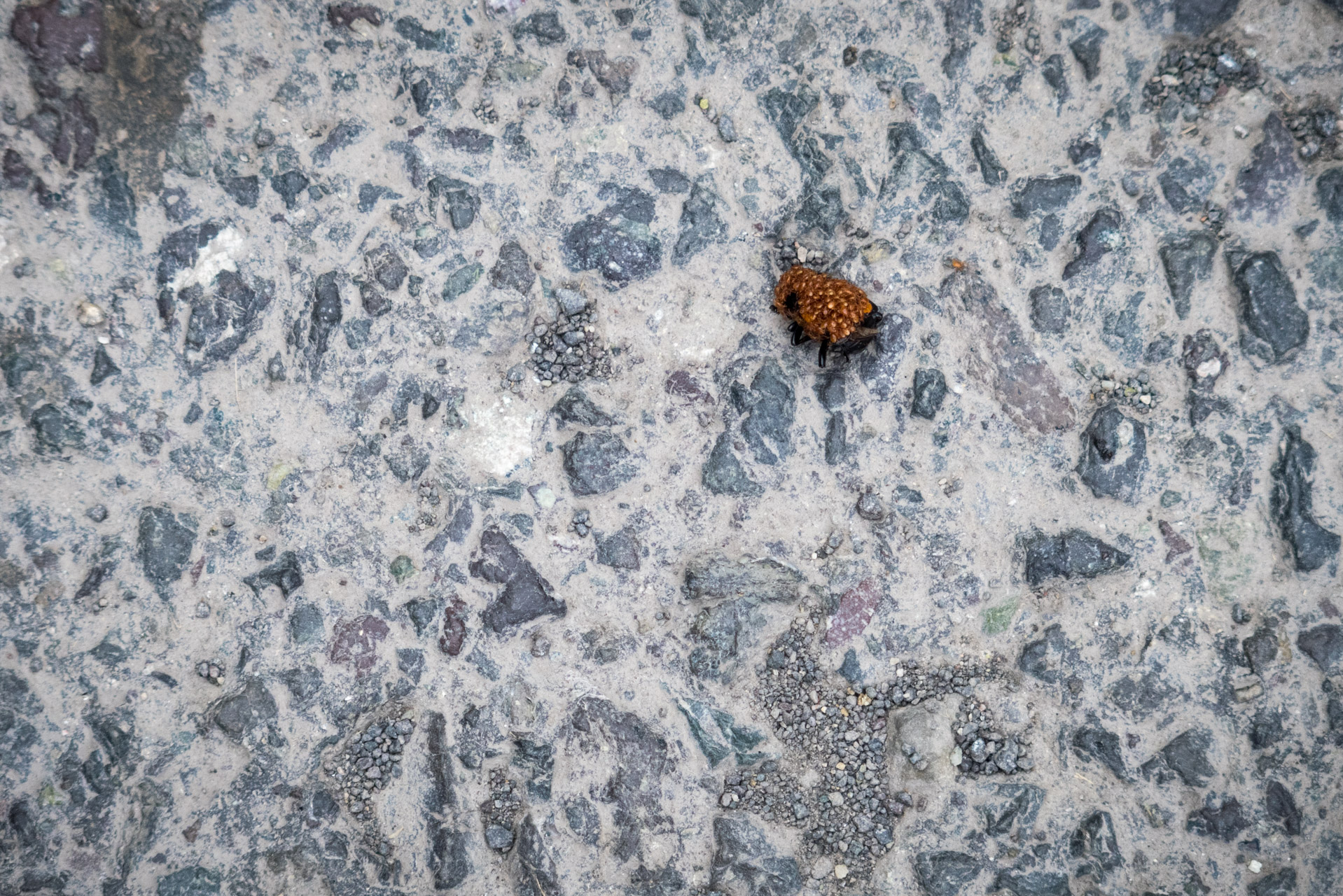 Ohnište z Malužinej (Pufo is Ten) (Nízke Tatry)