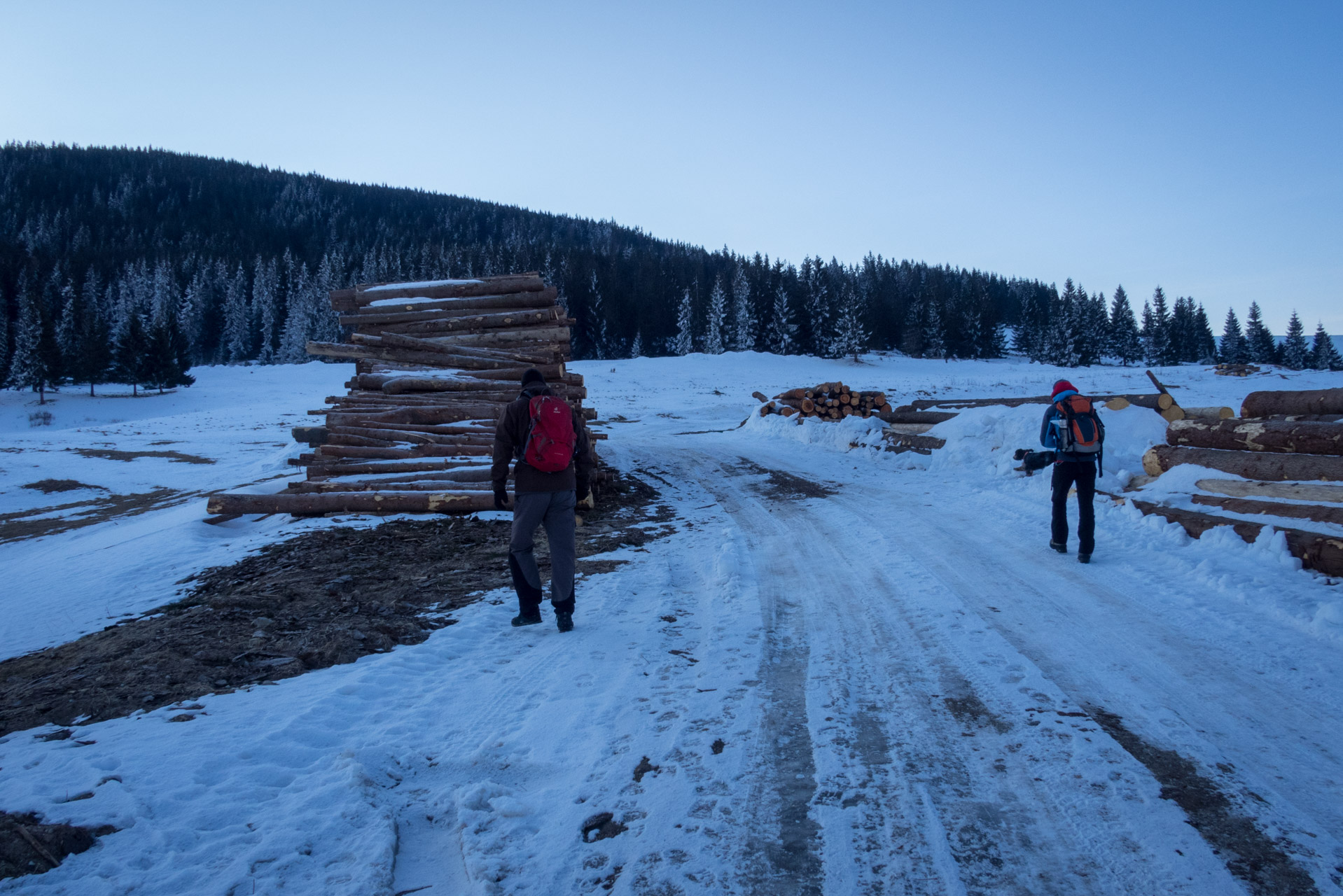 Ondrejisko (Borovniak) zo sedla Besník (Slovenský raj)