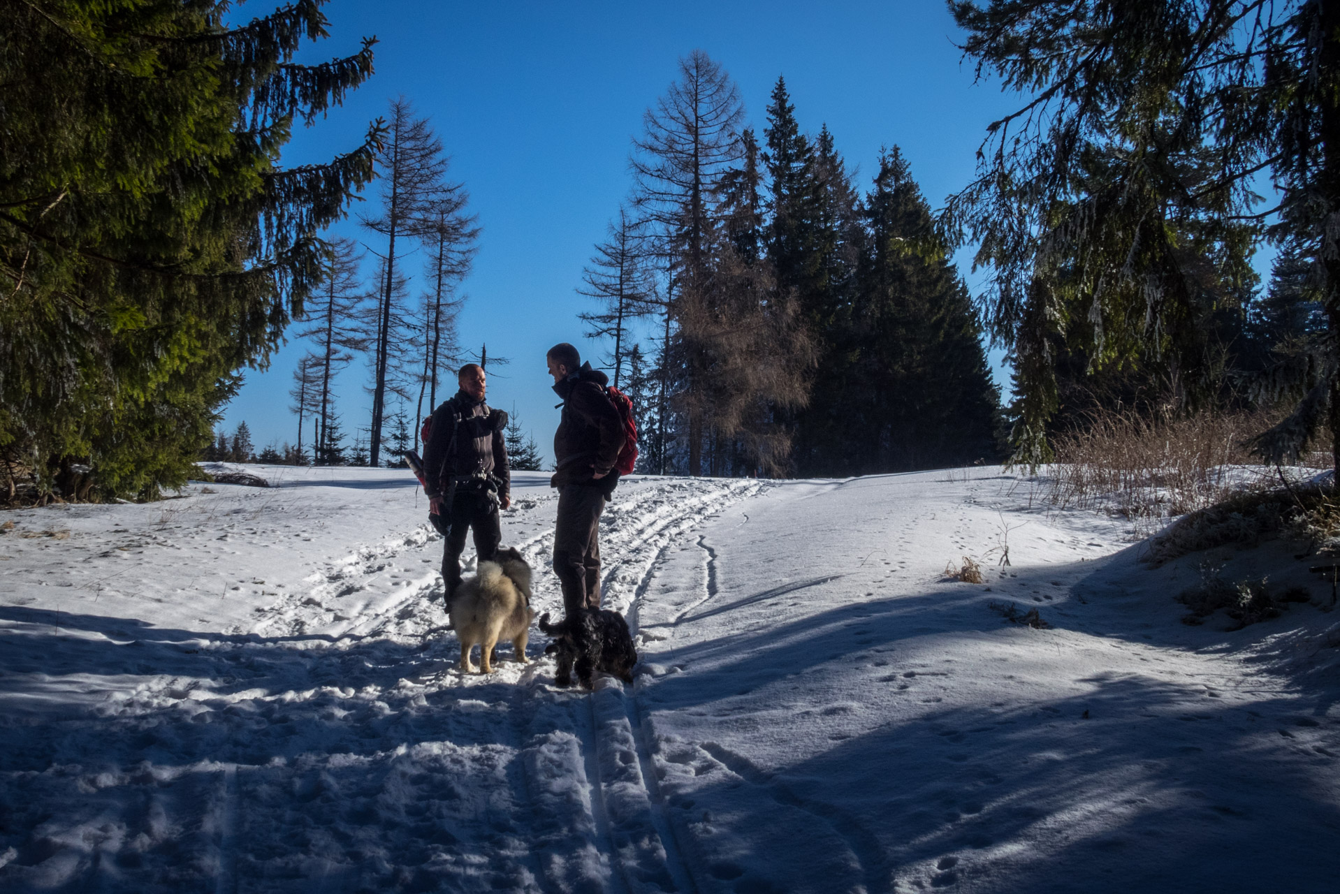 Ondrejisko (Borovniak) zo sedla Besník (Slovenský raj)