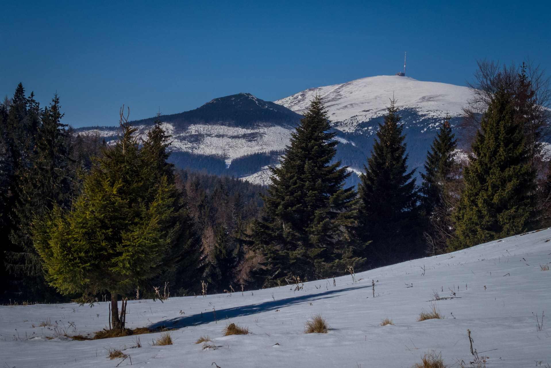 Ondrejisko (Borovniak) zo sedla Besník (Slovenský raj)