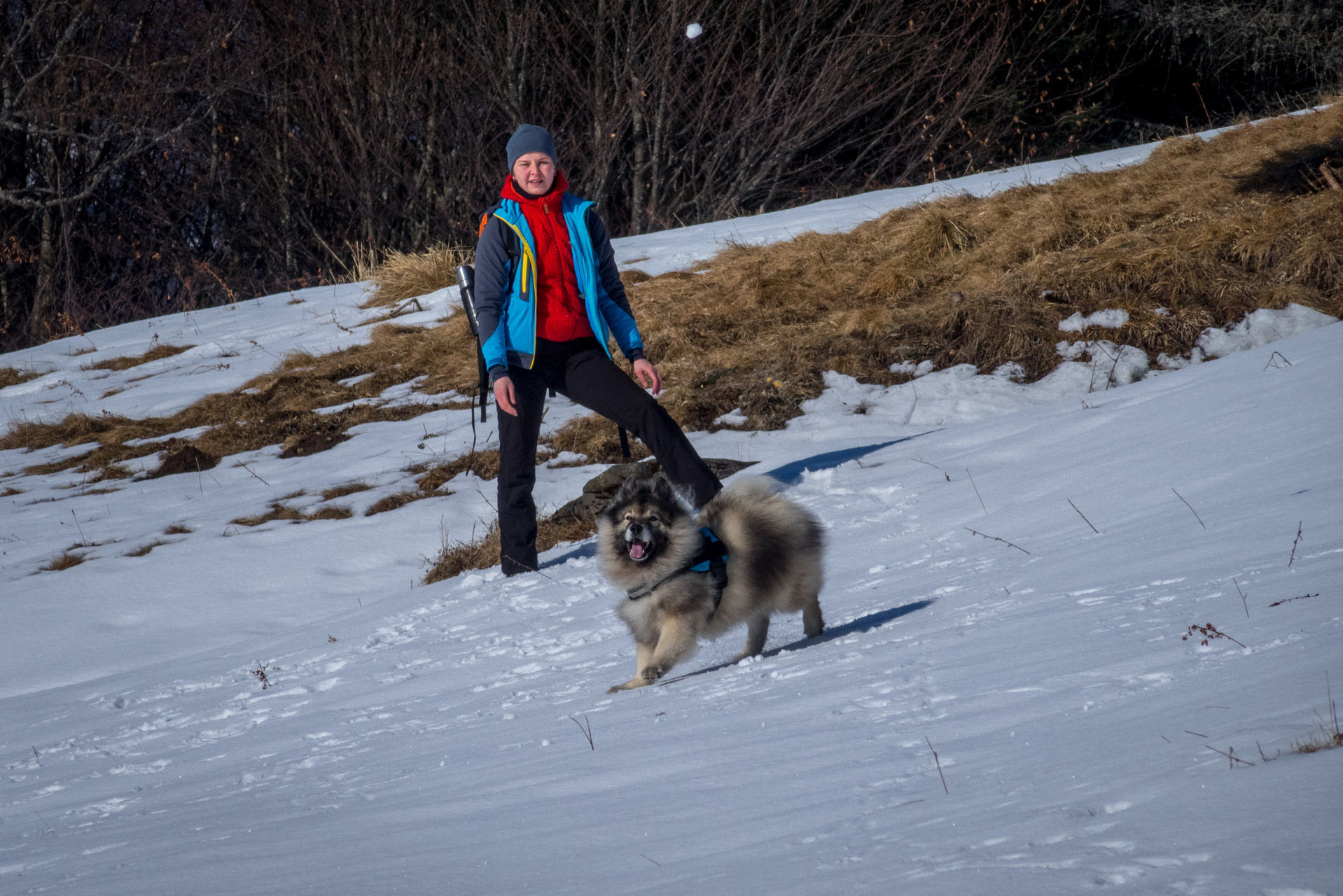 Ondrejisko (Borovniak) zo sedla Besník (Slovenský raj)