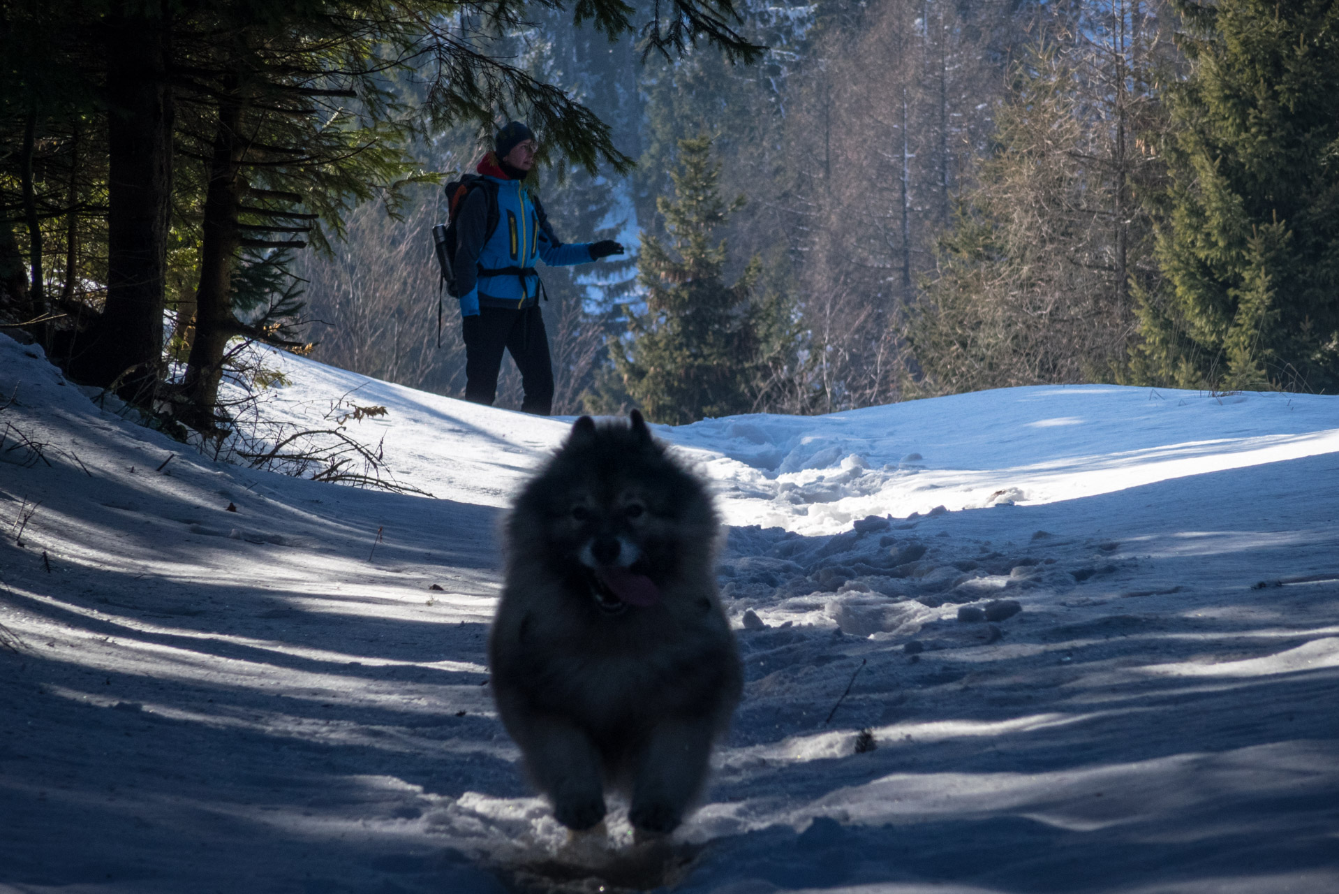 Ondrejisko (Borovniak) zo sedla Besník (Slovenský raj)