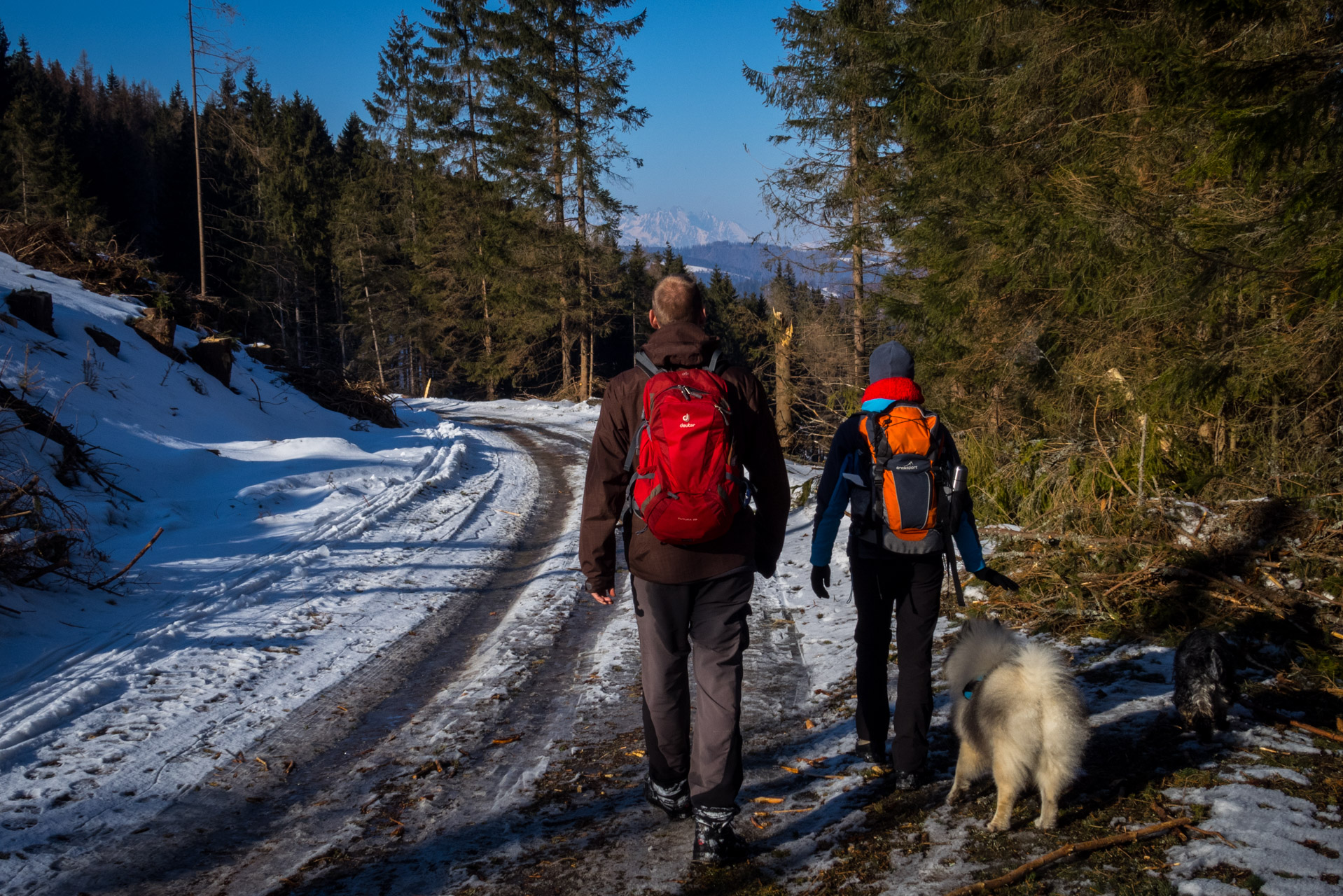 Ondrejisko (Borovniak) zo sedla Besník (Slovenský raj)